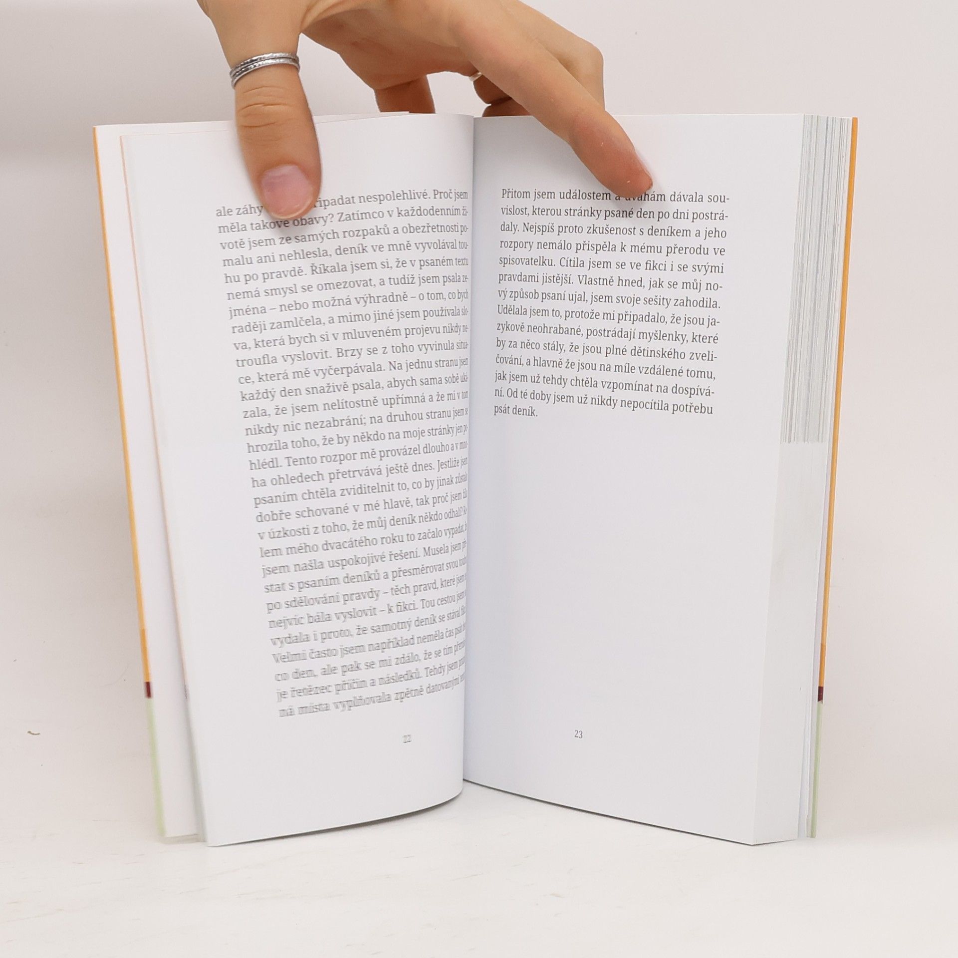 Elena Ferrante Příležitostné nápady