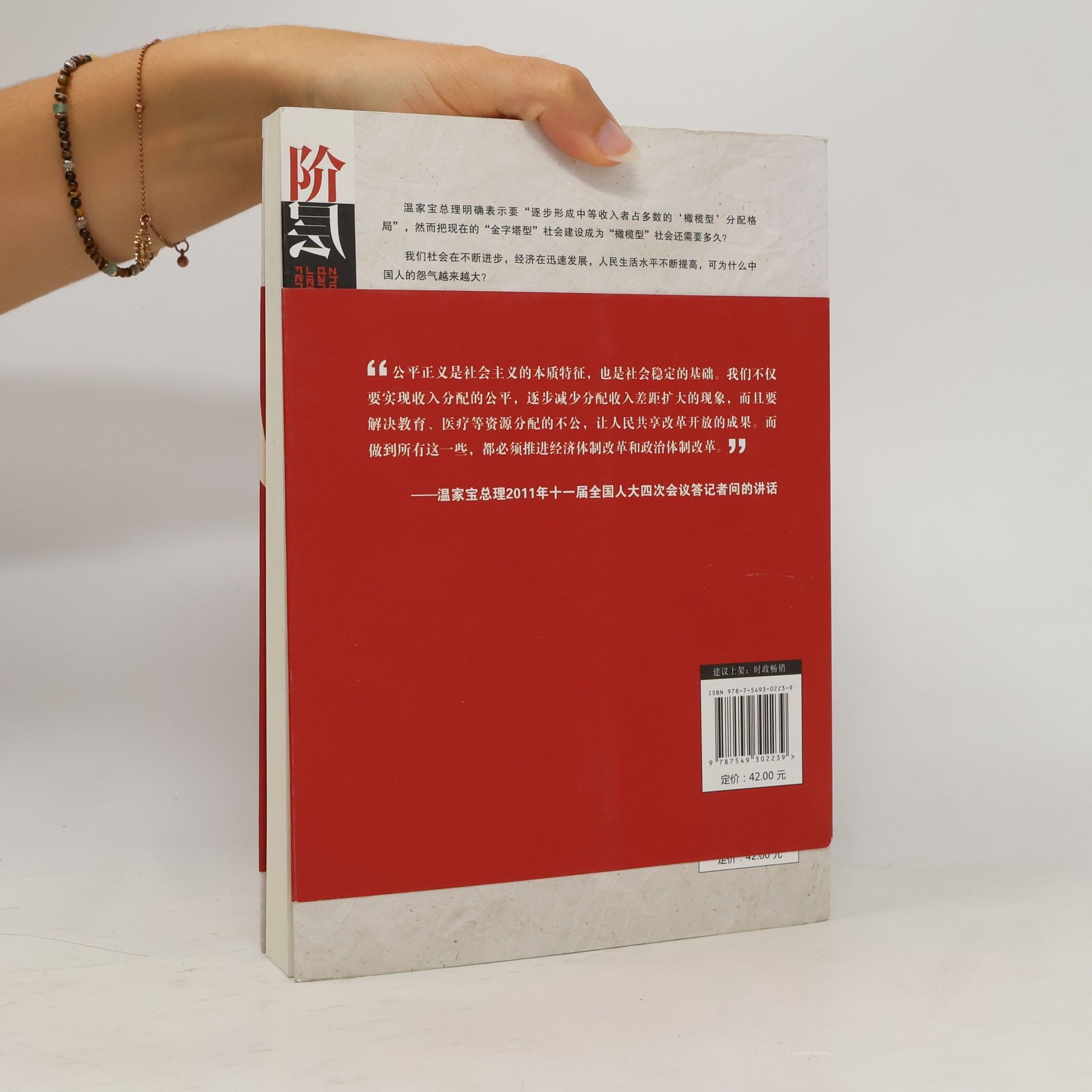 Yang Jisheng 中国当代社会阶层分析