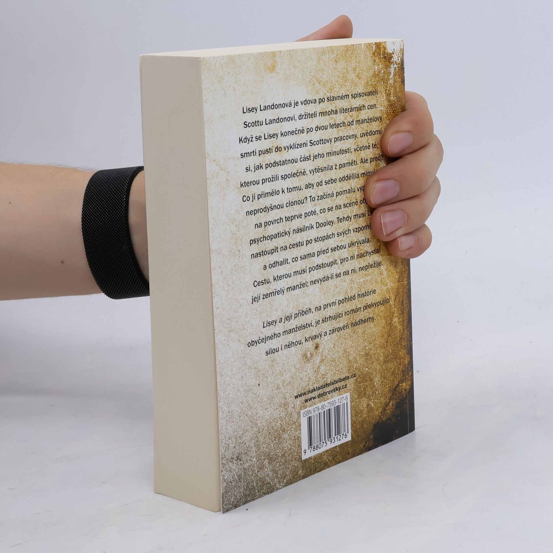 Stephen King Lisey a její příběh
