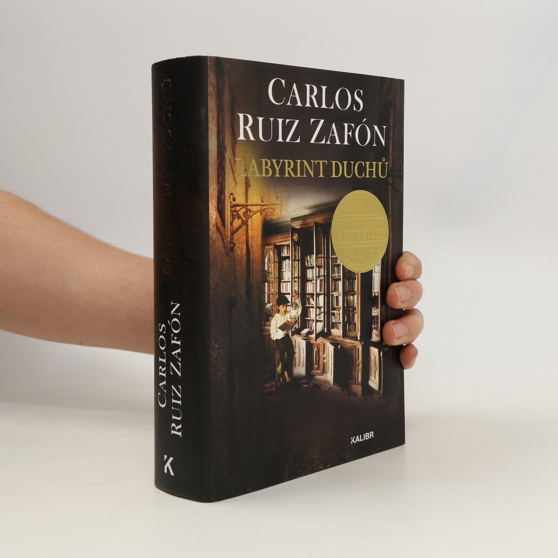 Carlos Ruiz Zafón Labyrint duchů