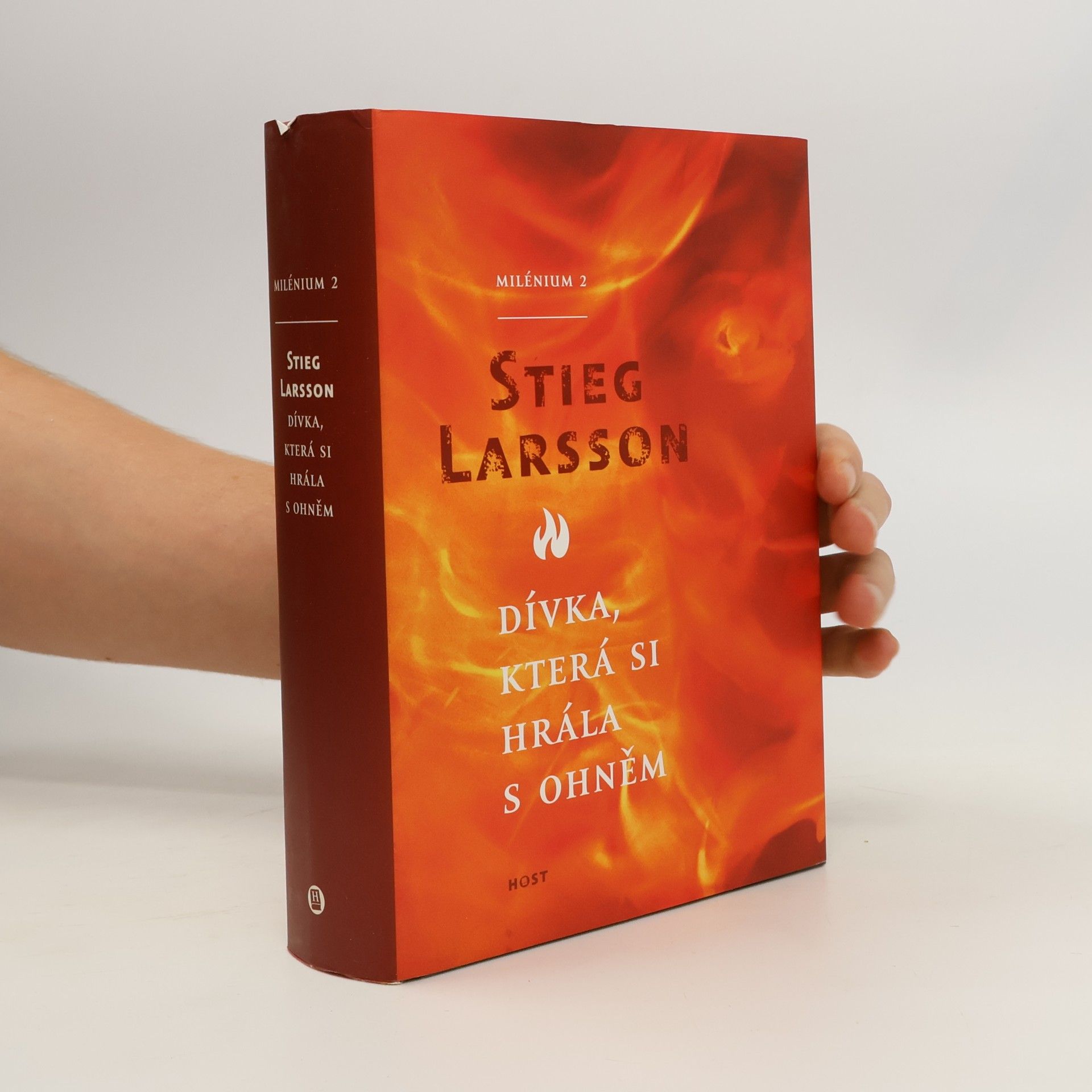 Stieg Larsson Dívka, která si hrála s ohněm