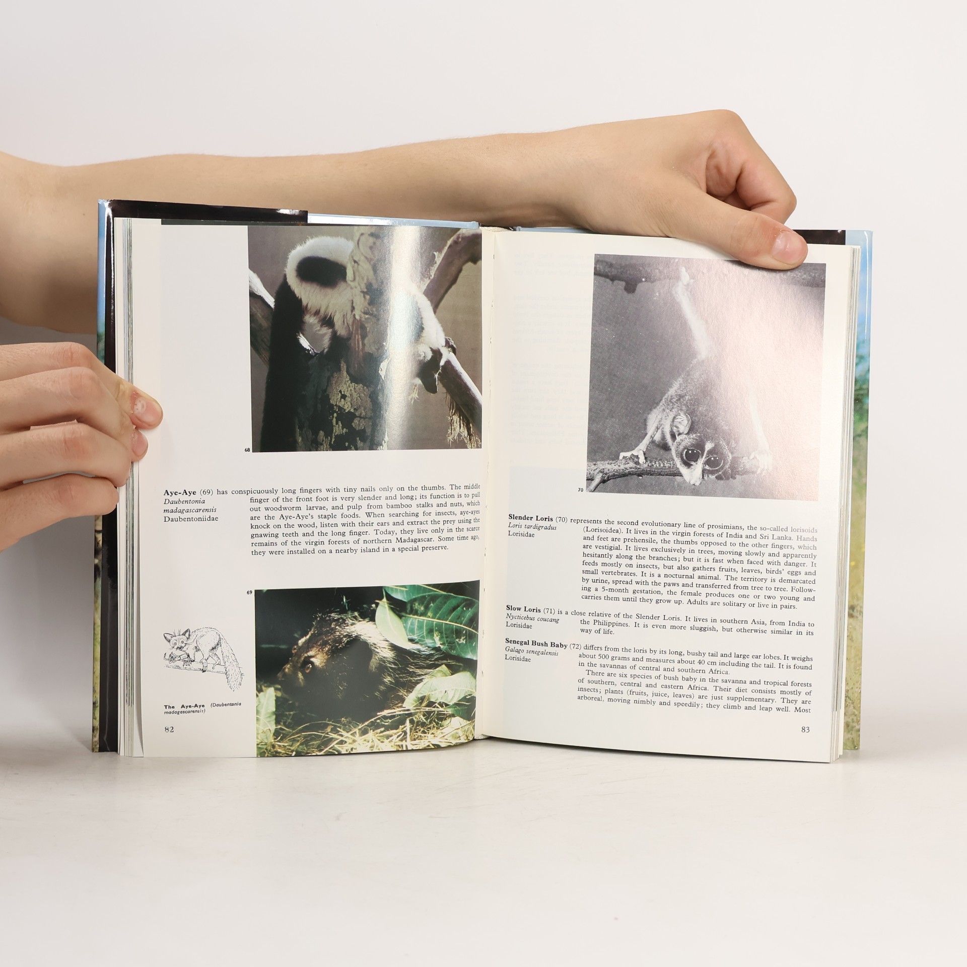 Vratislav Mazák The Illustrated Encyclopedia of Mammals