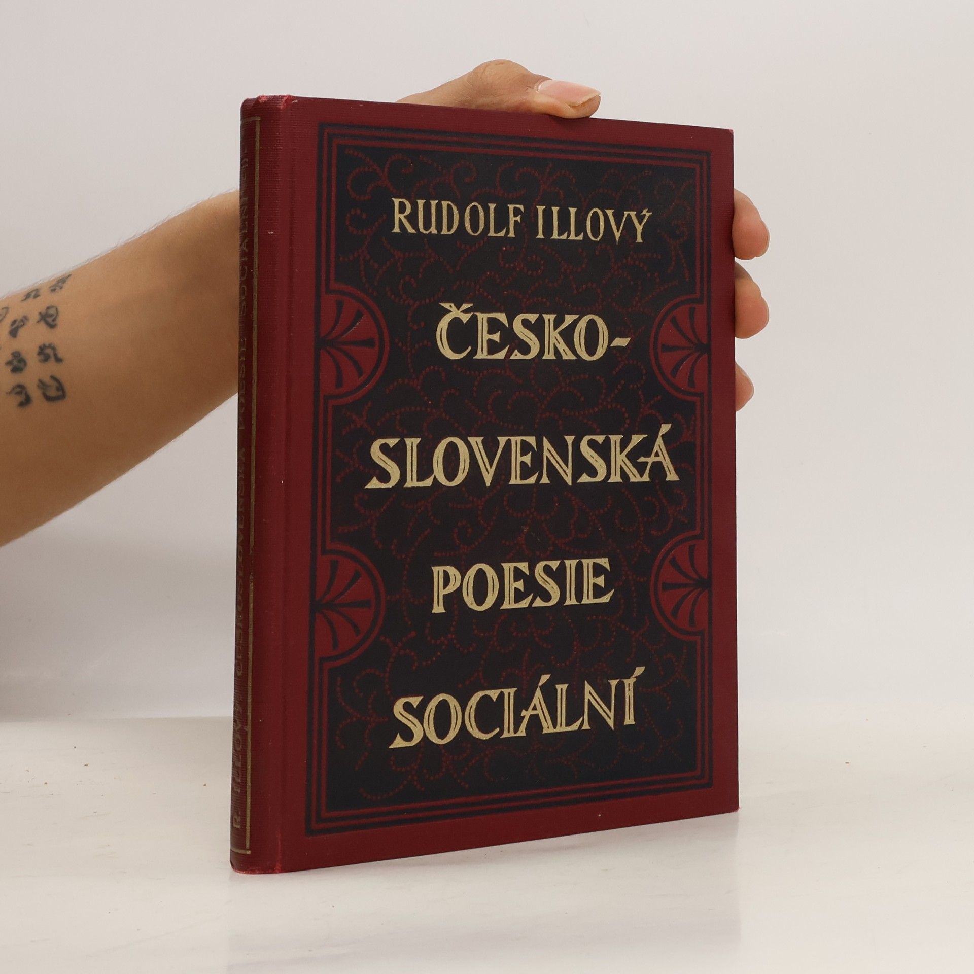 Česko-slovenská poesie sociální II.