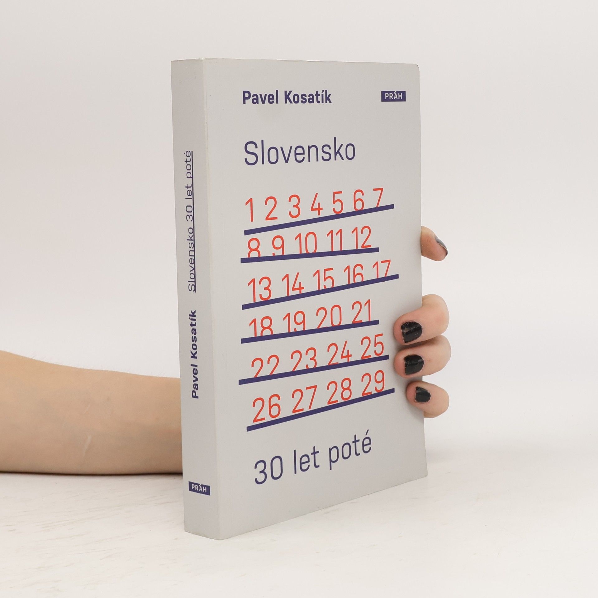Slovensko třicet let poté
