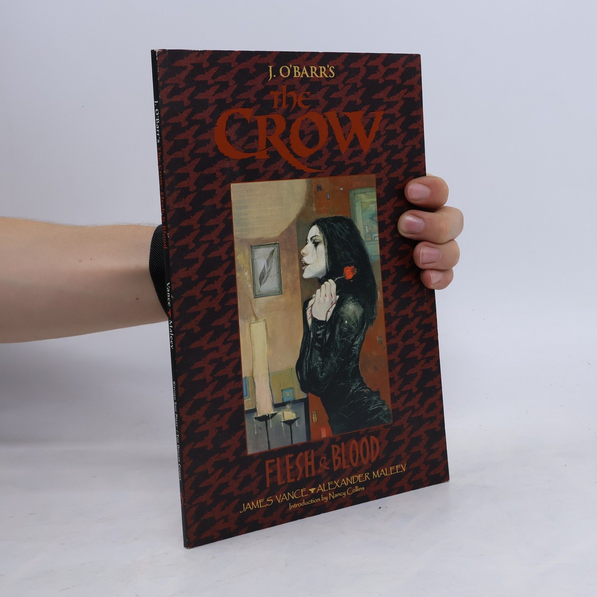 The Crow: Flesh & Blood