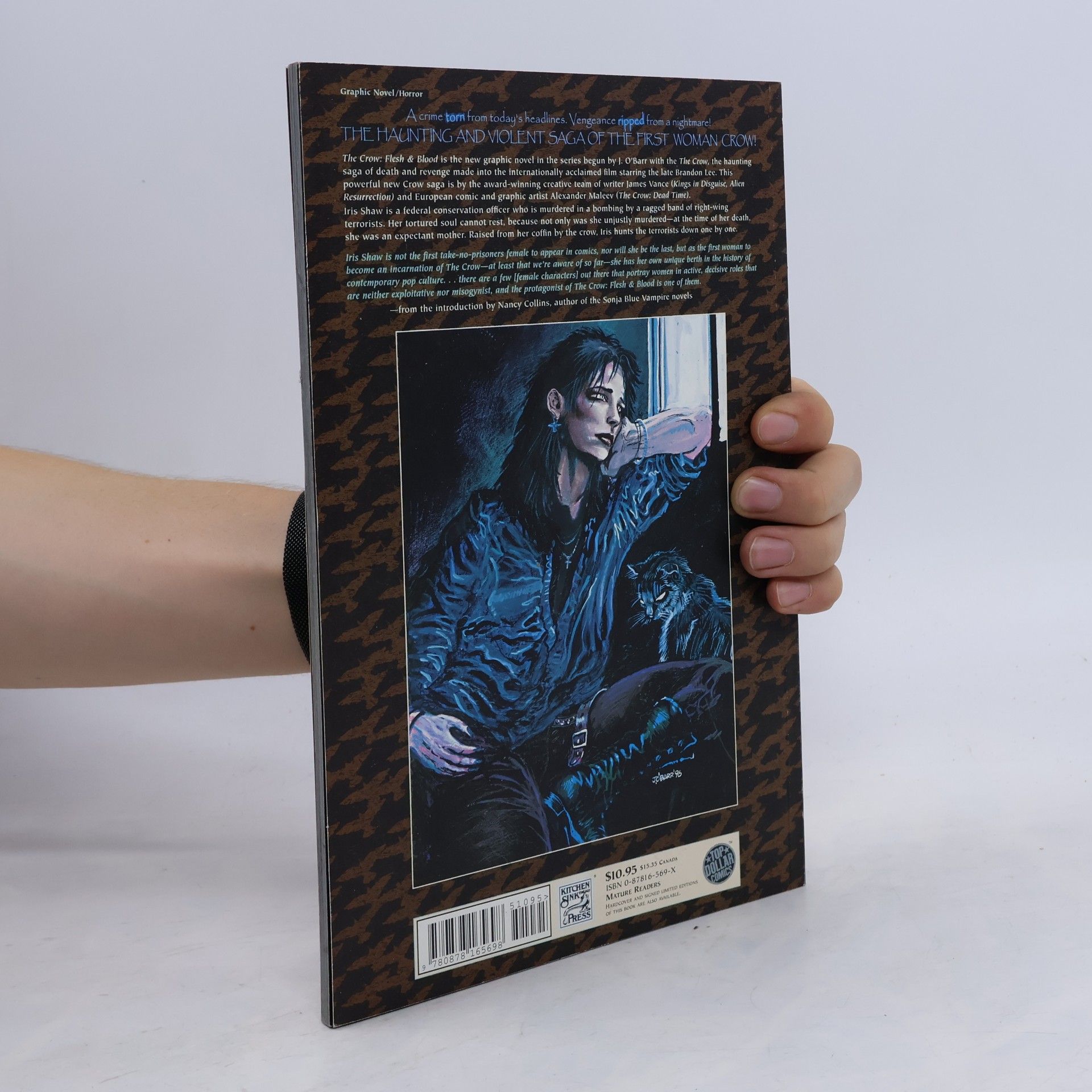 James O'Barr The Crow: Flesh & Blood