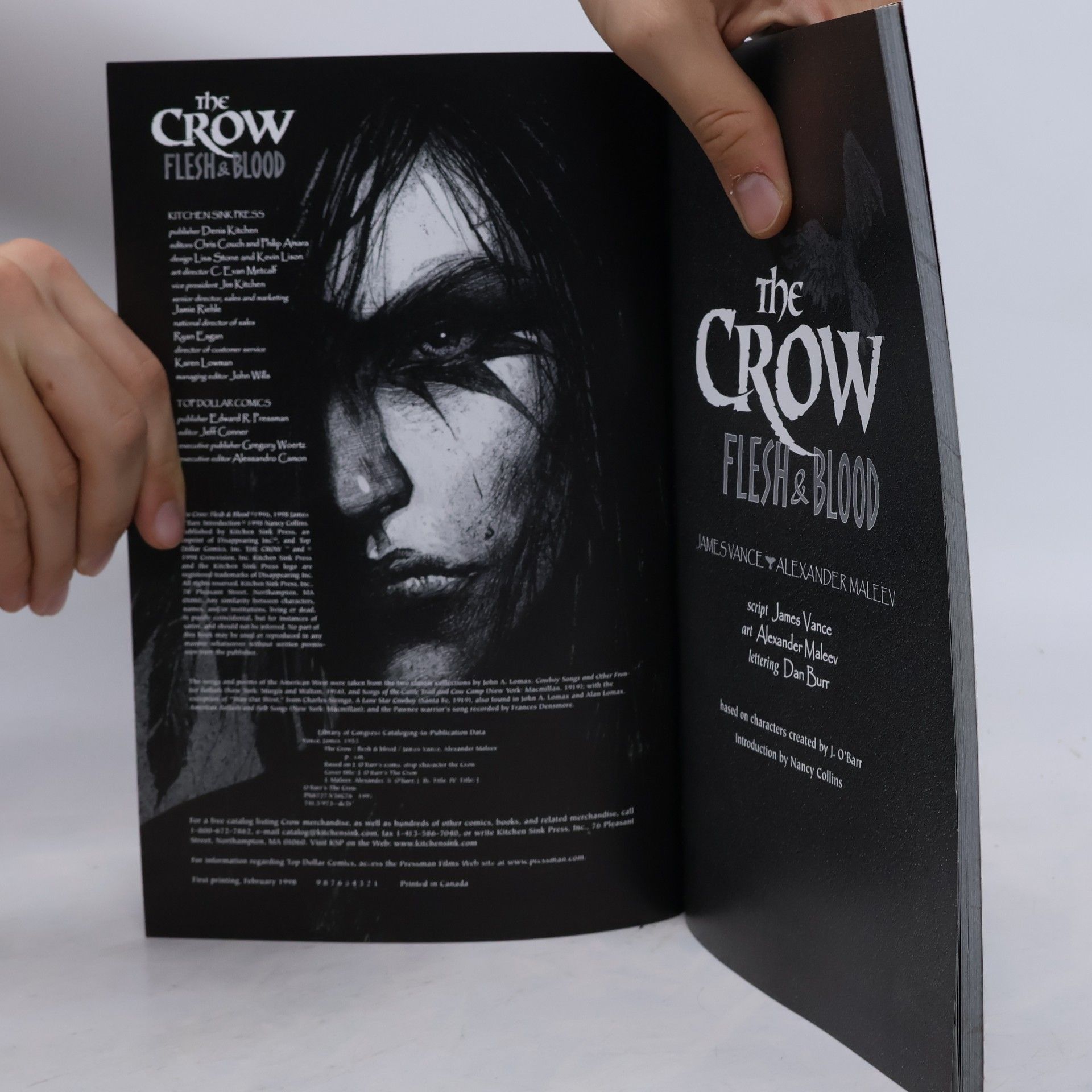 James O'Barr The Crow: Flesh & Blood