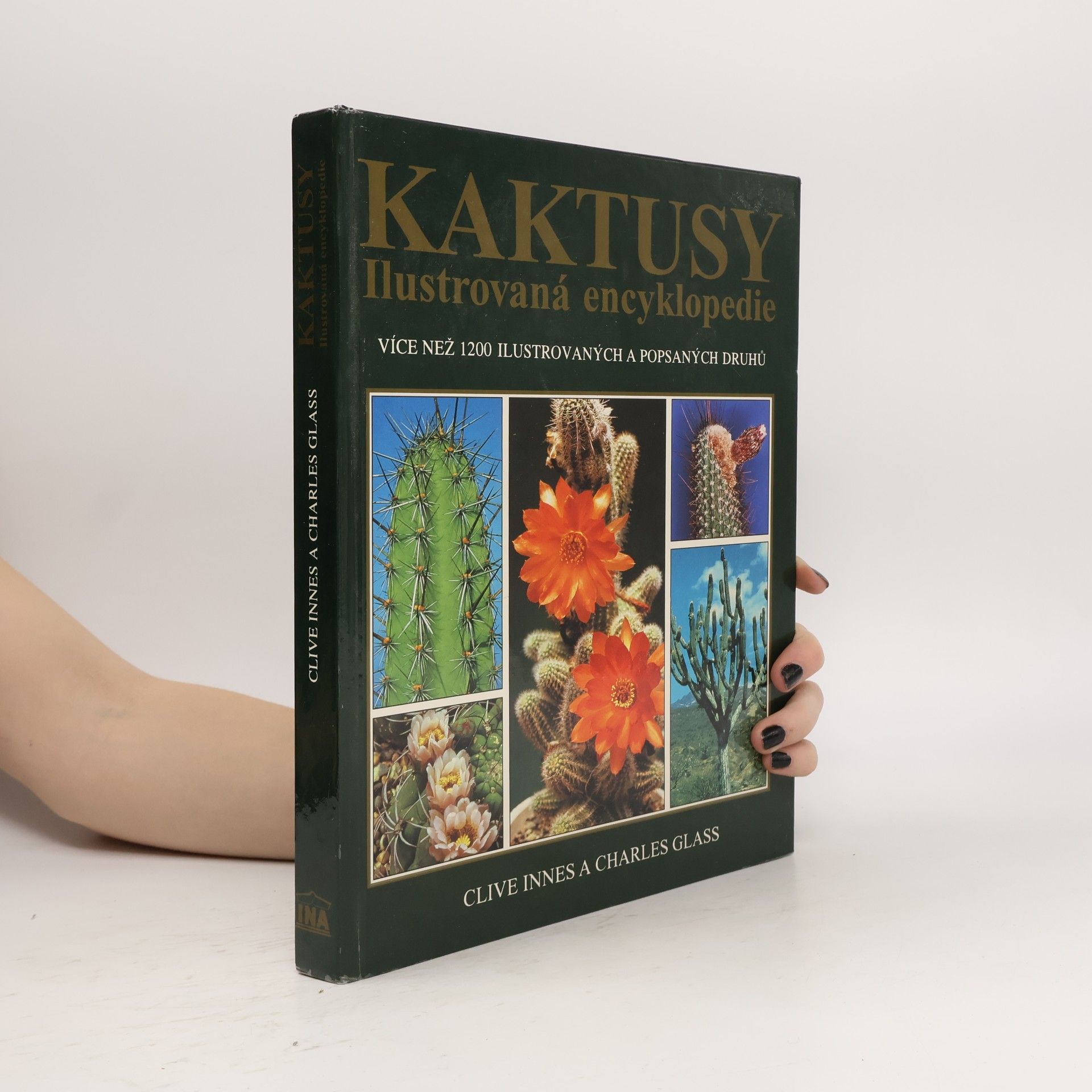Clive Innes Kaktusy