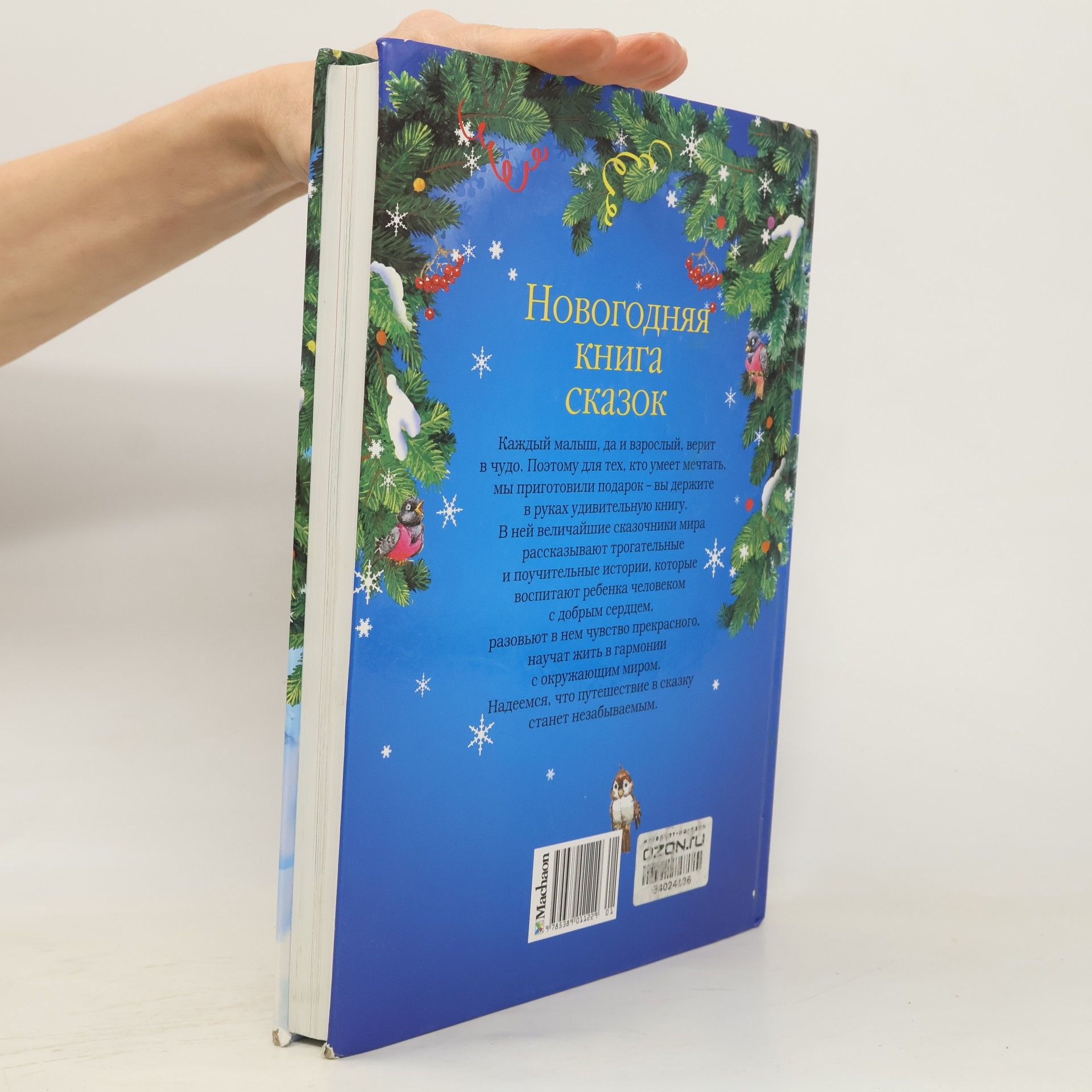 Kolektiv autorů Новогодняя книга сказок