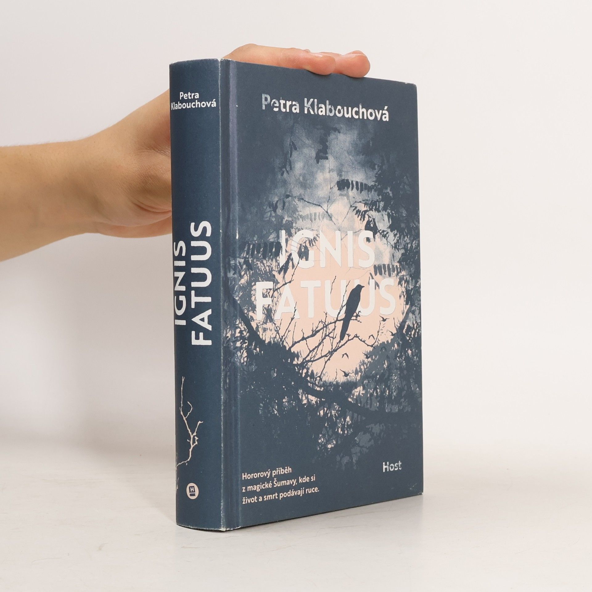 Petra Klabouchová Ignis Fatuus