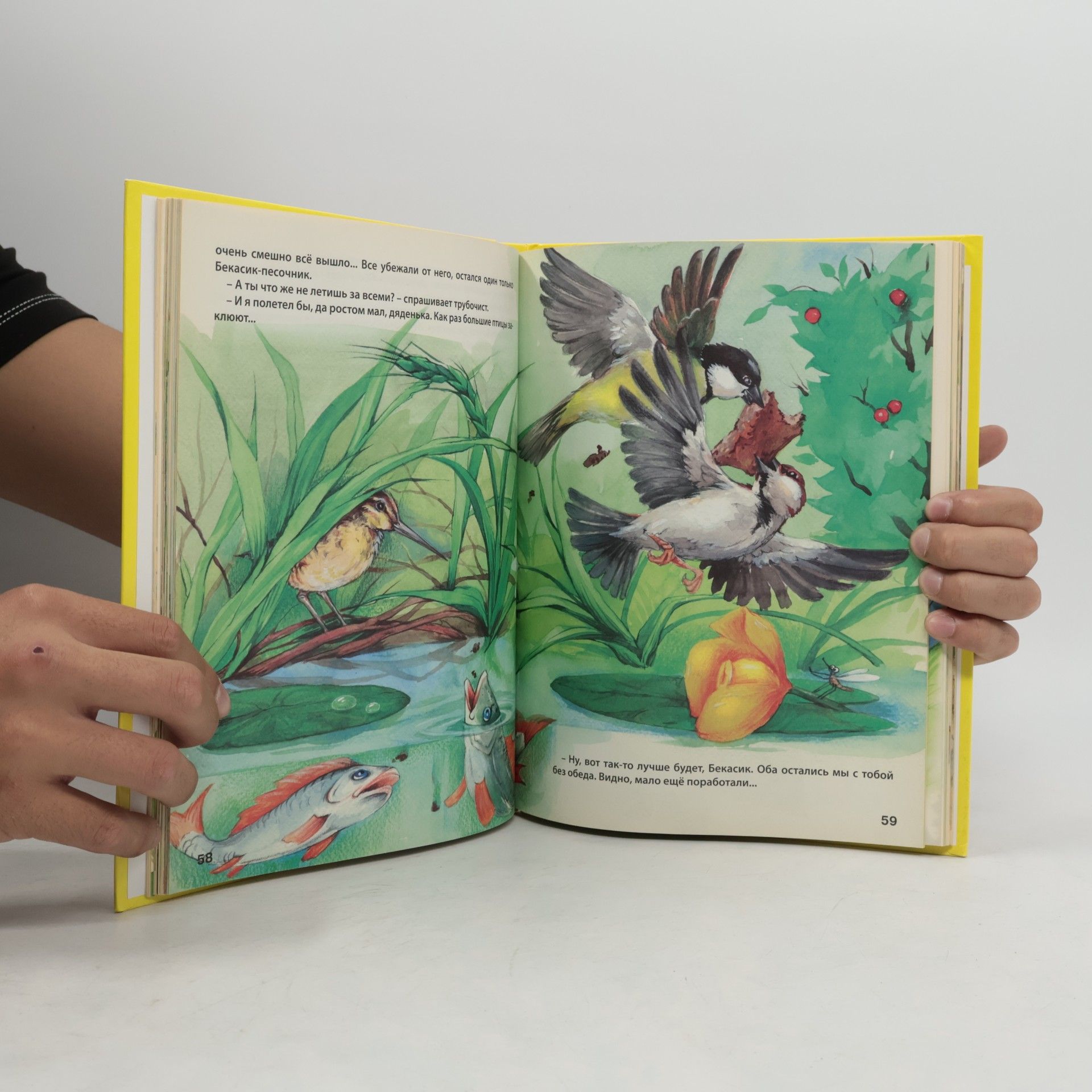 Dmitry Mamin-Sibiryak Alenushkiny Skazki