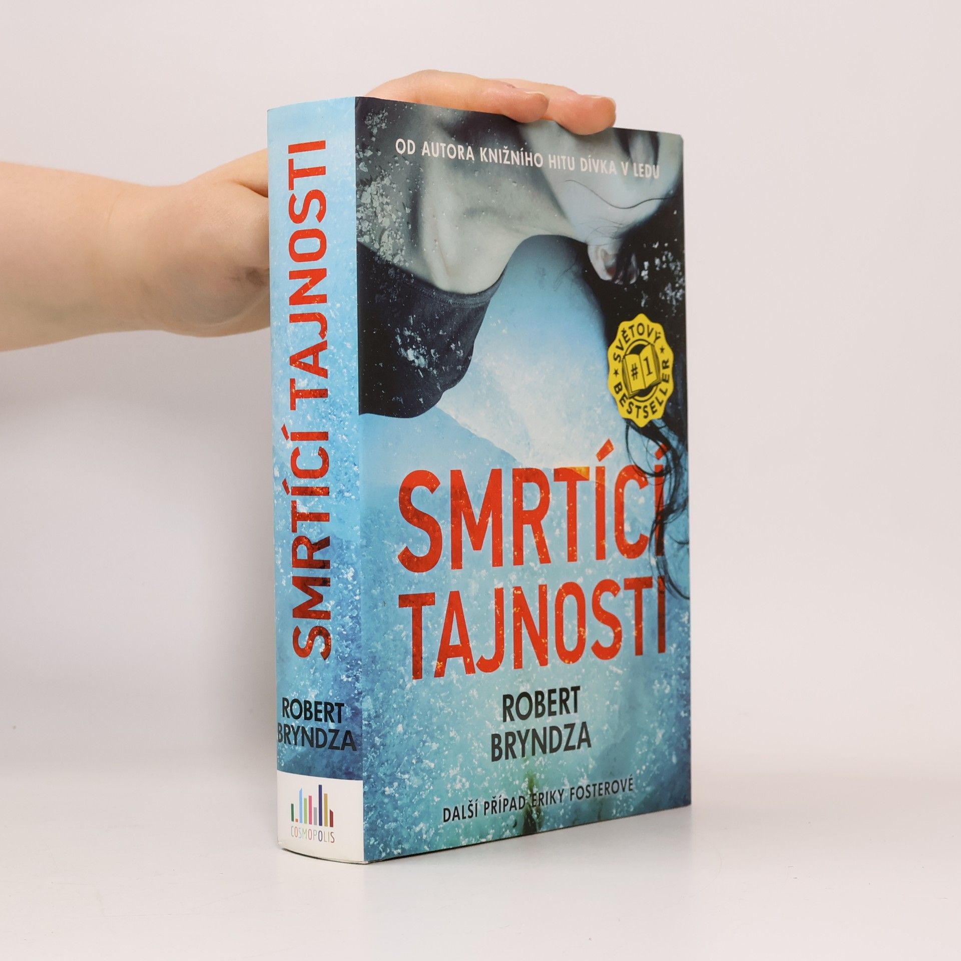 Robert Bryndza Smrtící tajnosti
