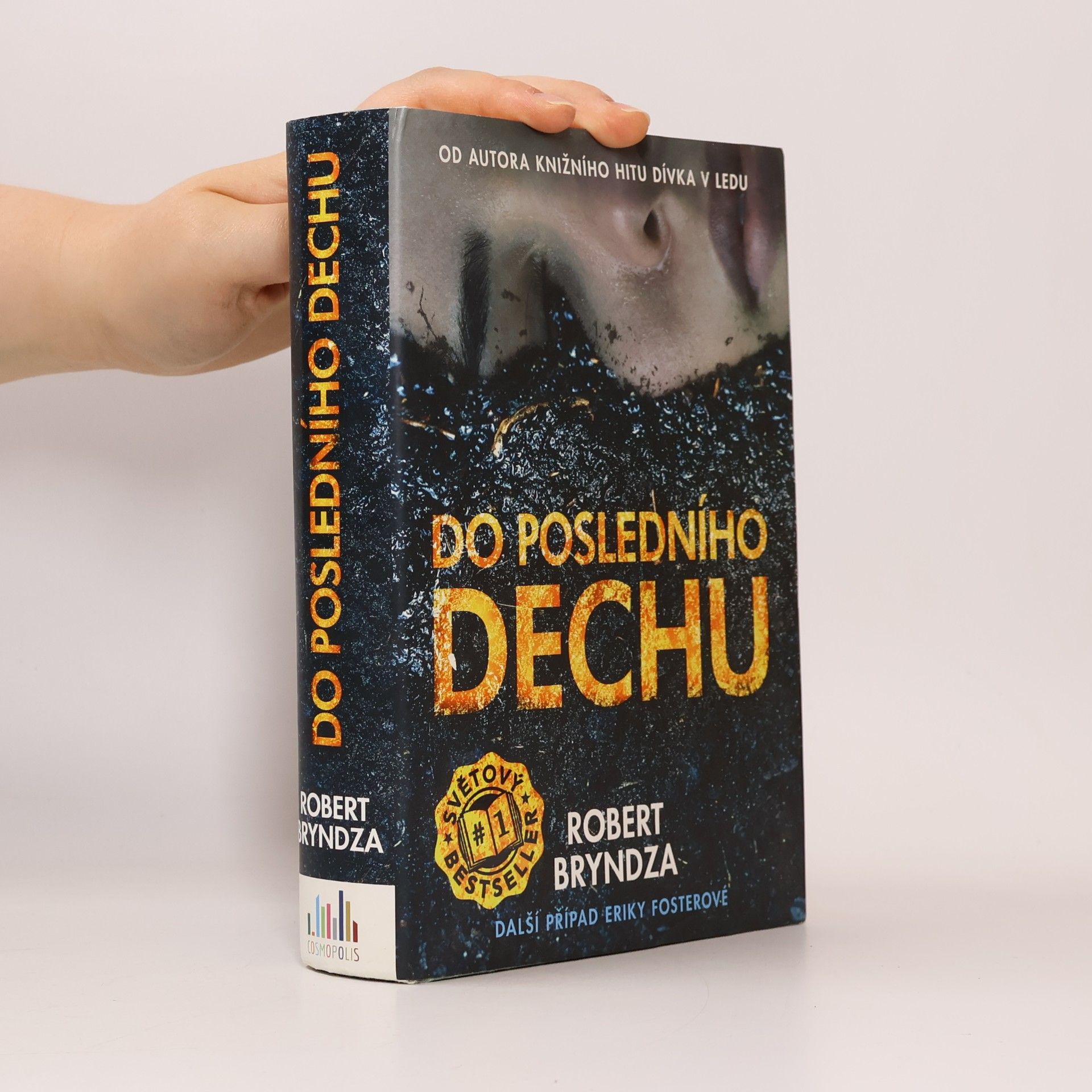 Robert Bryndza Do posledního dechu