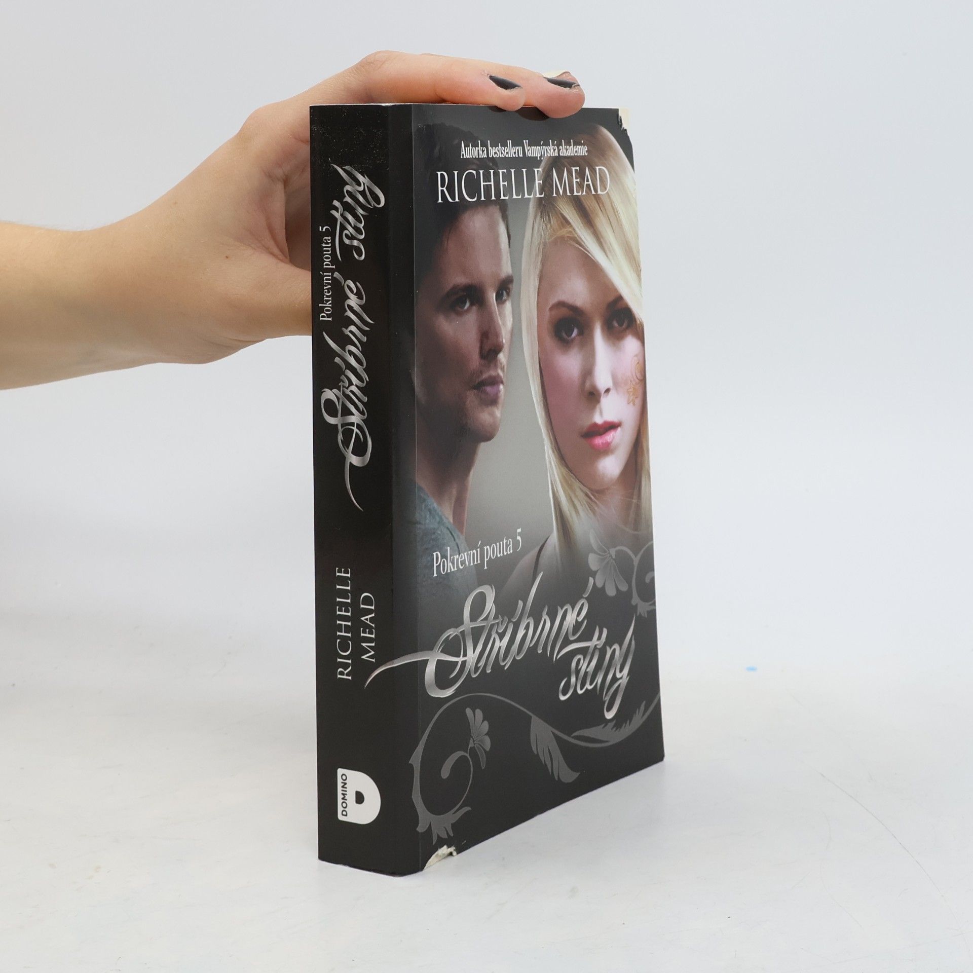 Richelle Mead Stříbrné stíny. Pokrevní pouta. 5. díl