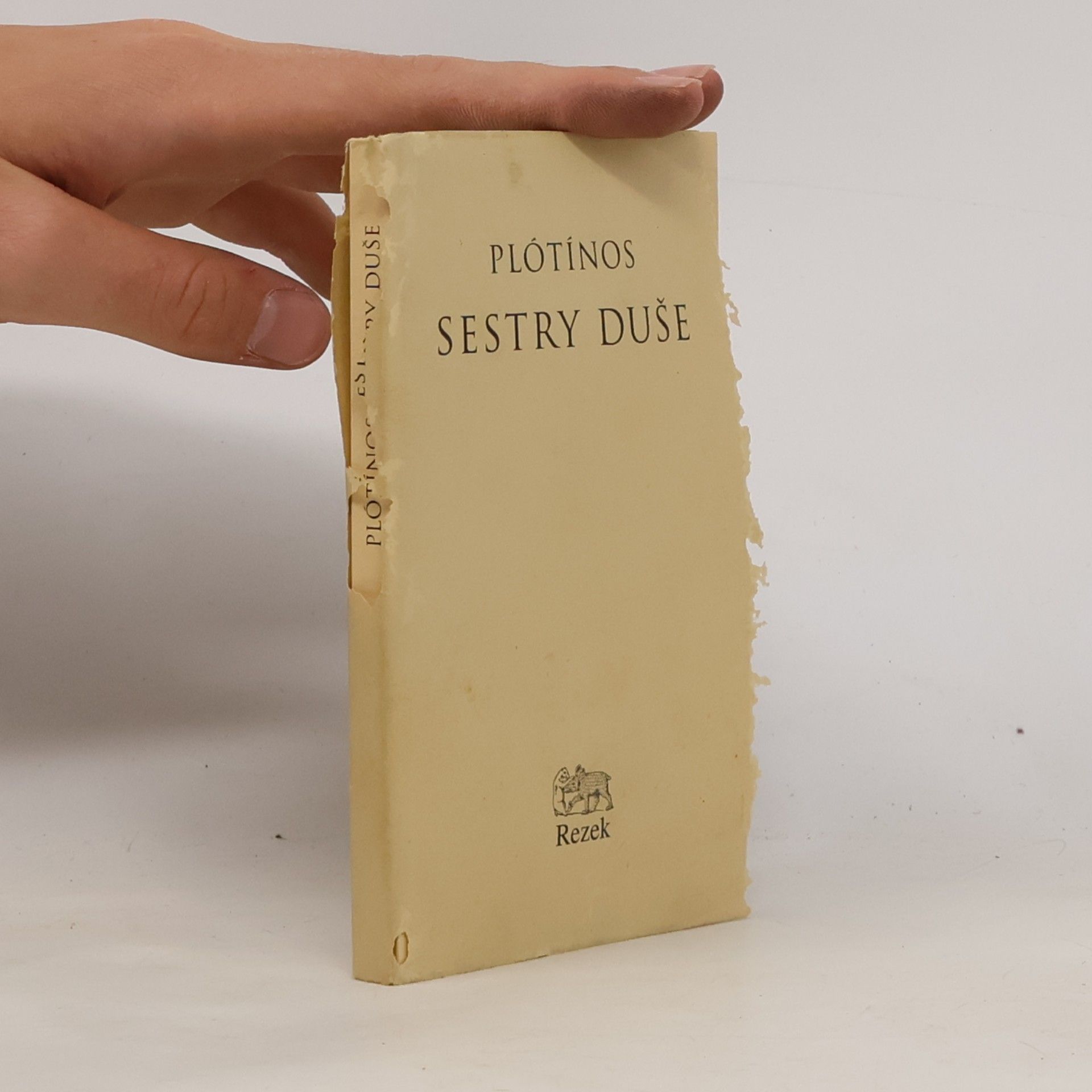 Petr Rezek Sestry duše