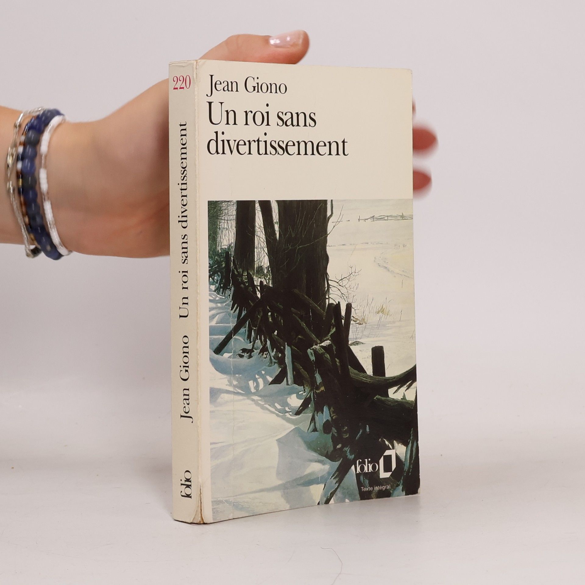 Jean Giono Un roi sans divertissement