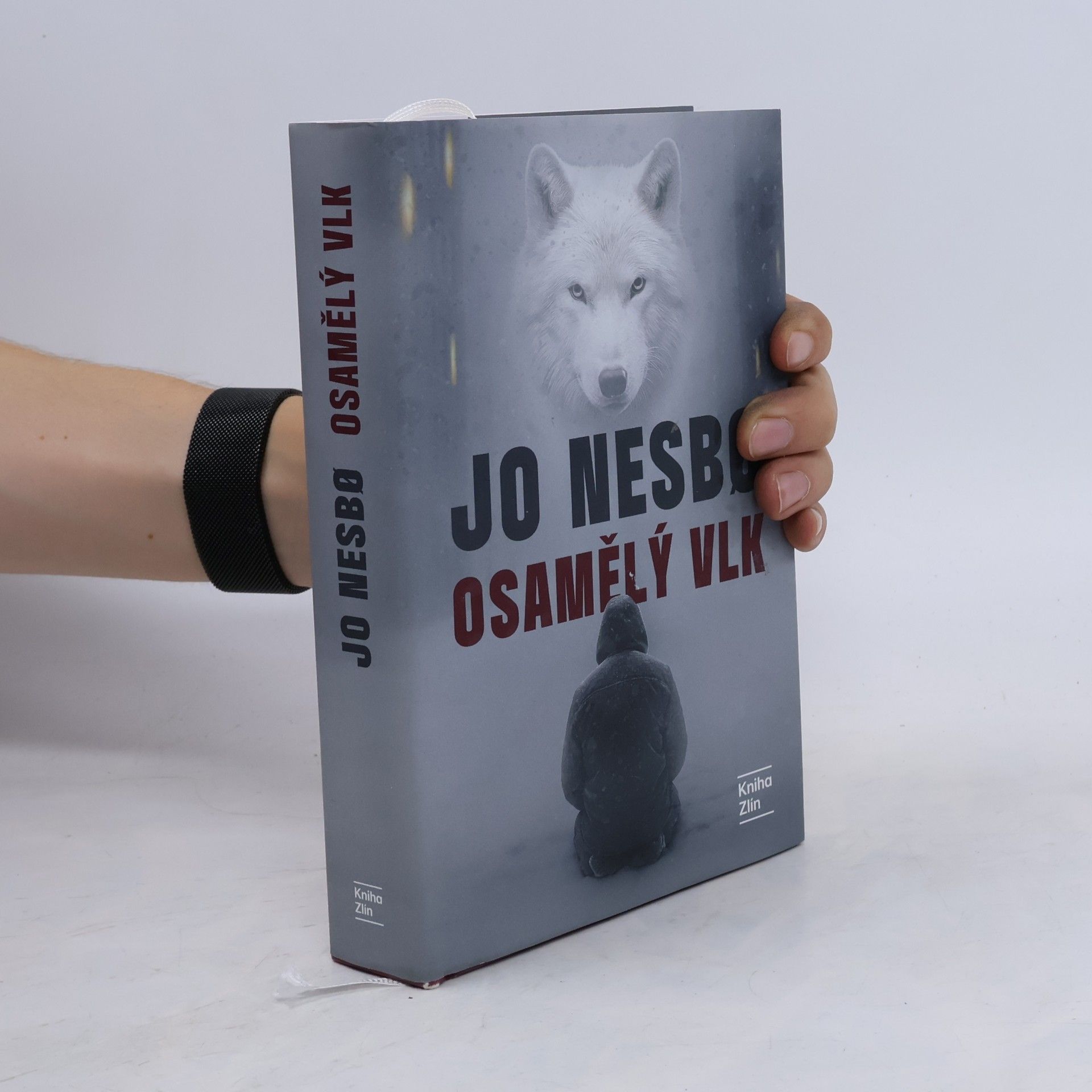 Osamělý vlk