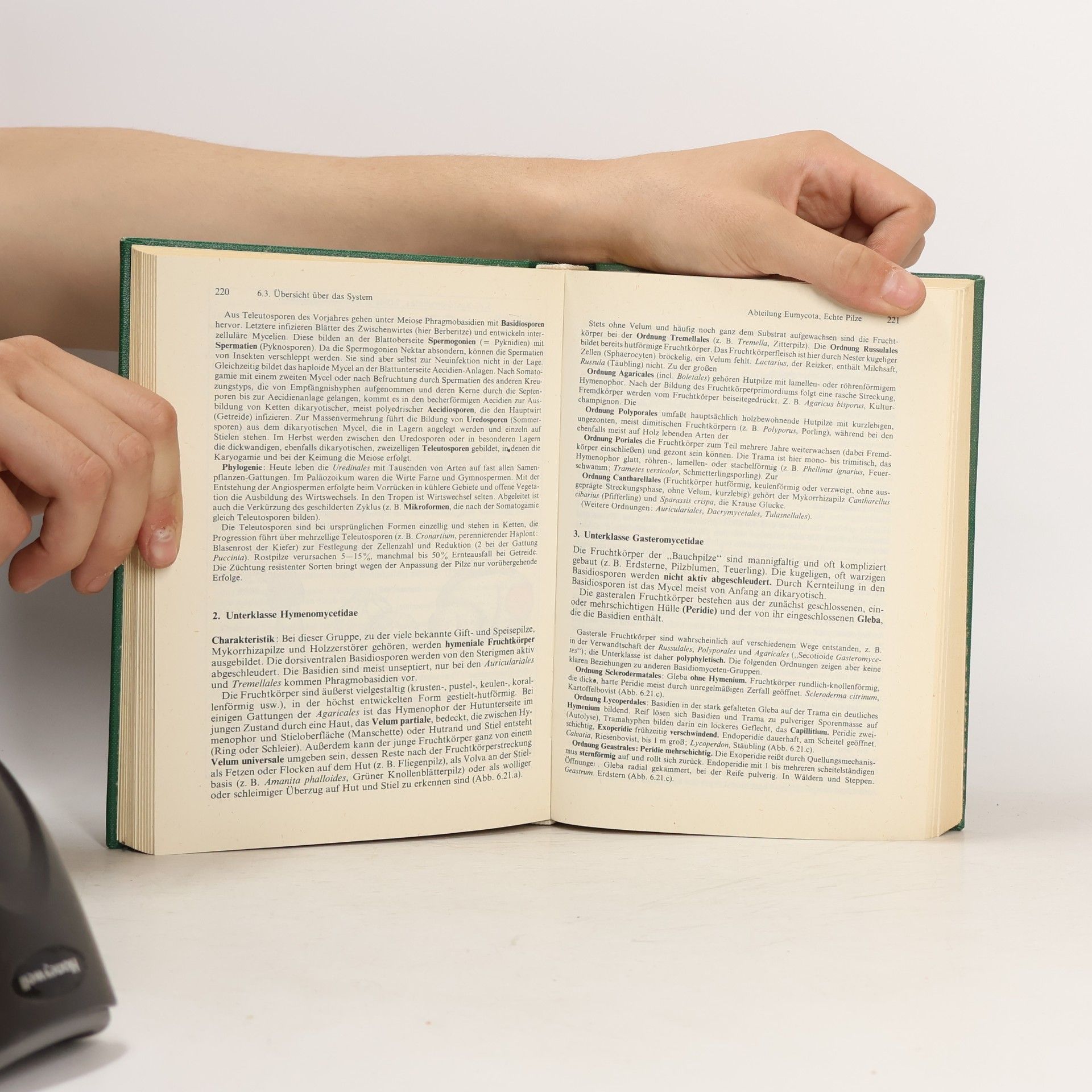Autorenkollektiv Kompendium der Botanik