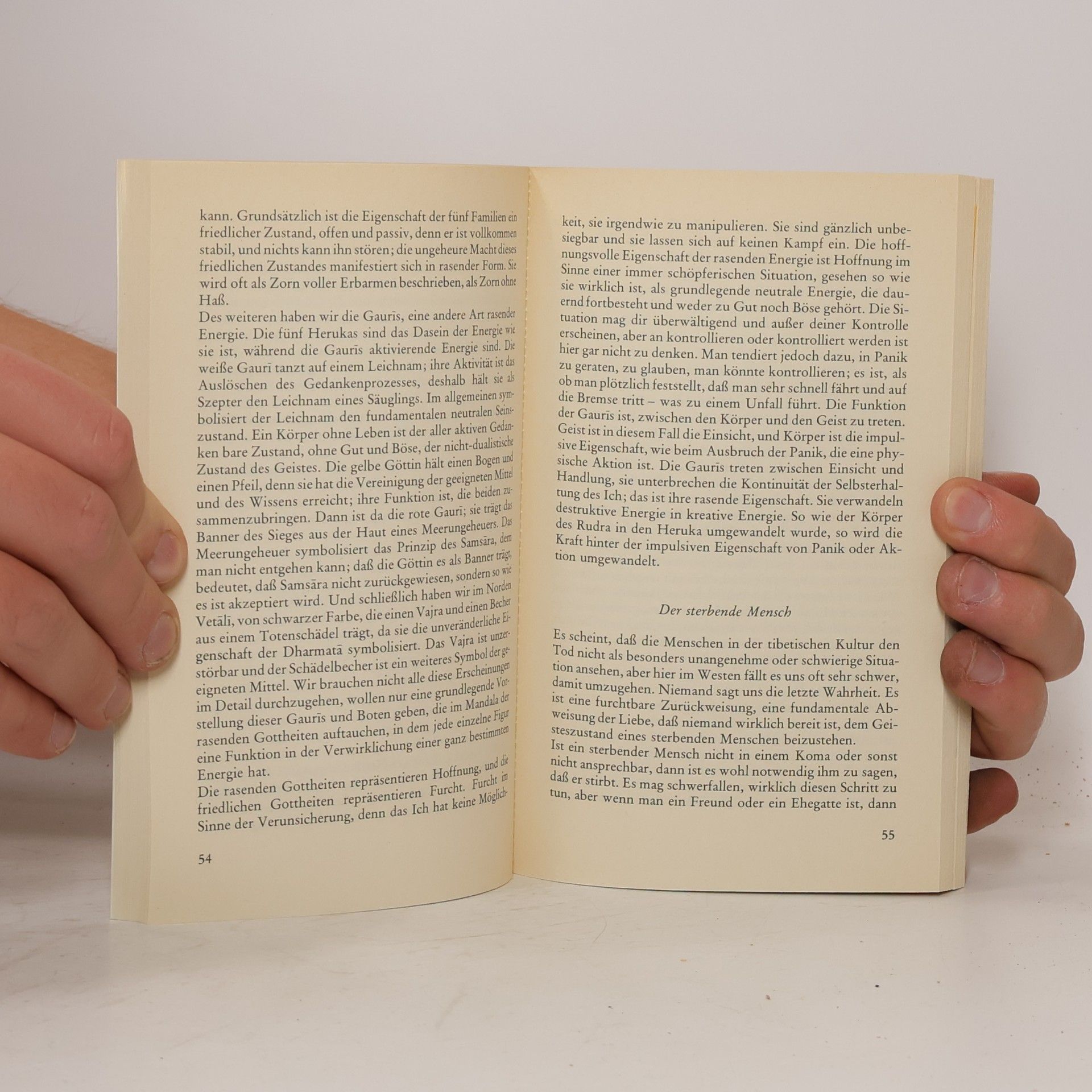 Kolektiv autorů Das Totenbuch der Tibeter