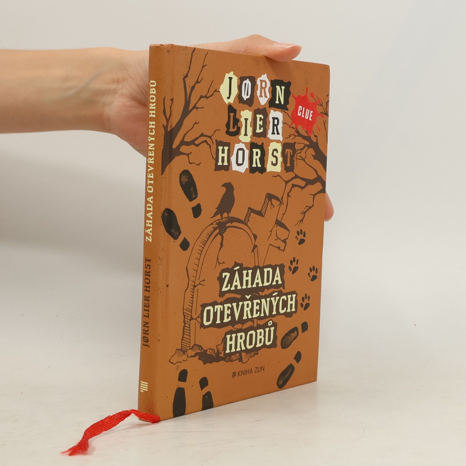 Jorn Lier Enger Thomas Horst Záhada otevřených hrobů