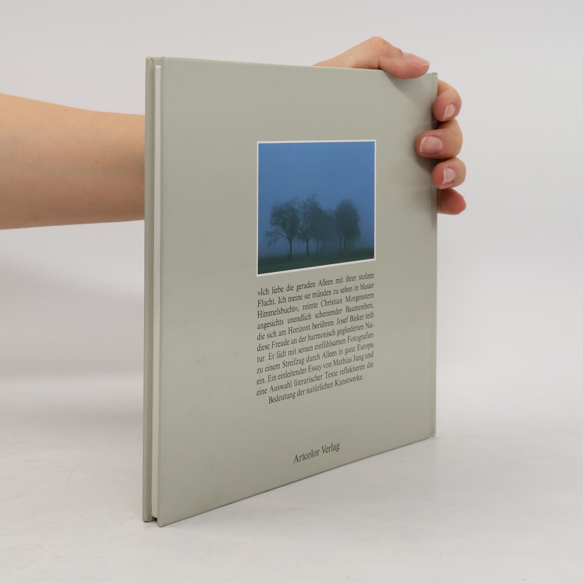 Autorenkollektiv Baum an Baum