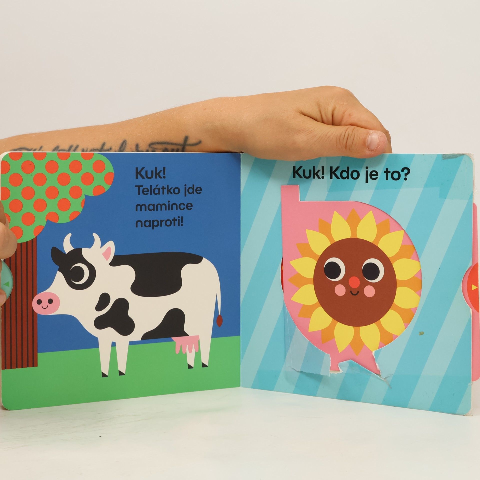 Camilla Reid Kuk! Kdo se schoval? Hledej mě na farmě!