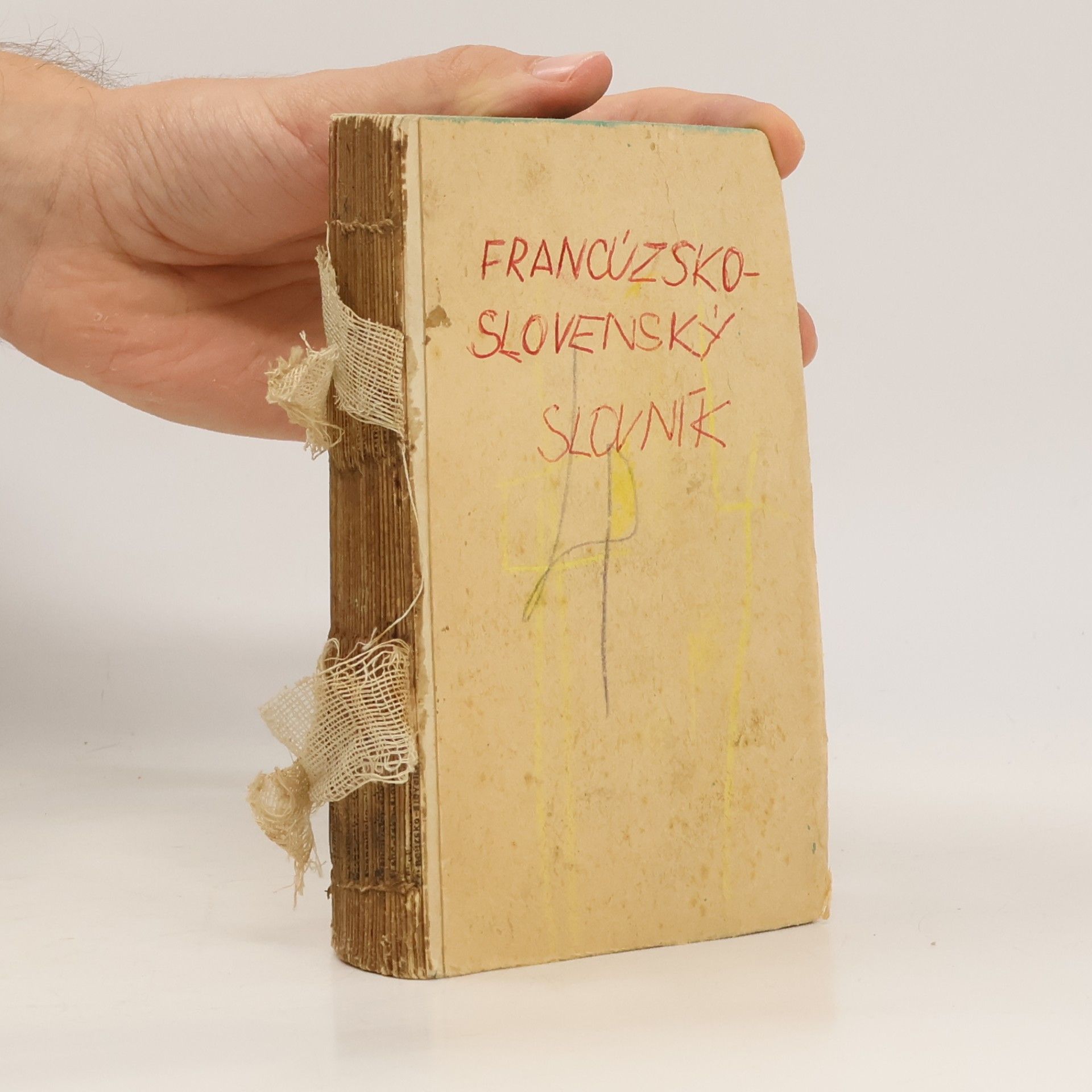 Francúzsko-slovenský vreckový slovník