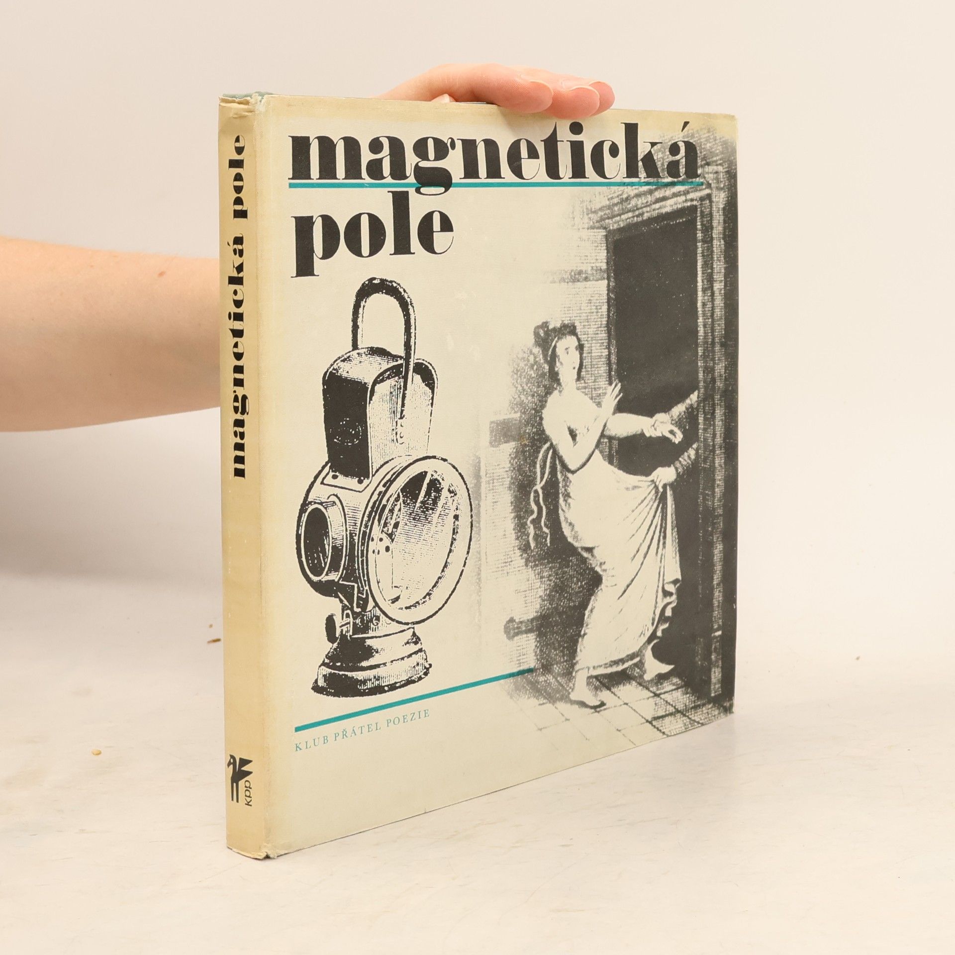 Kolektív autorov Magnetická pole