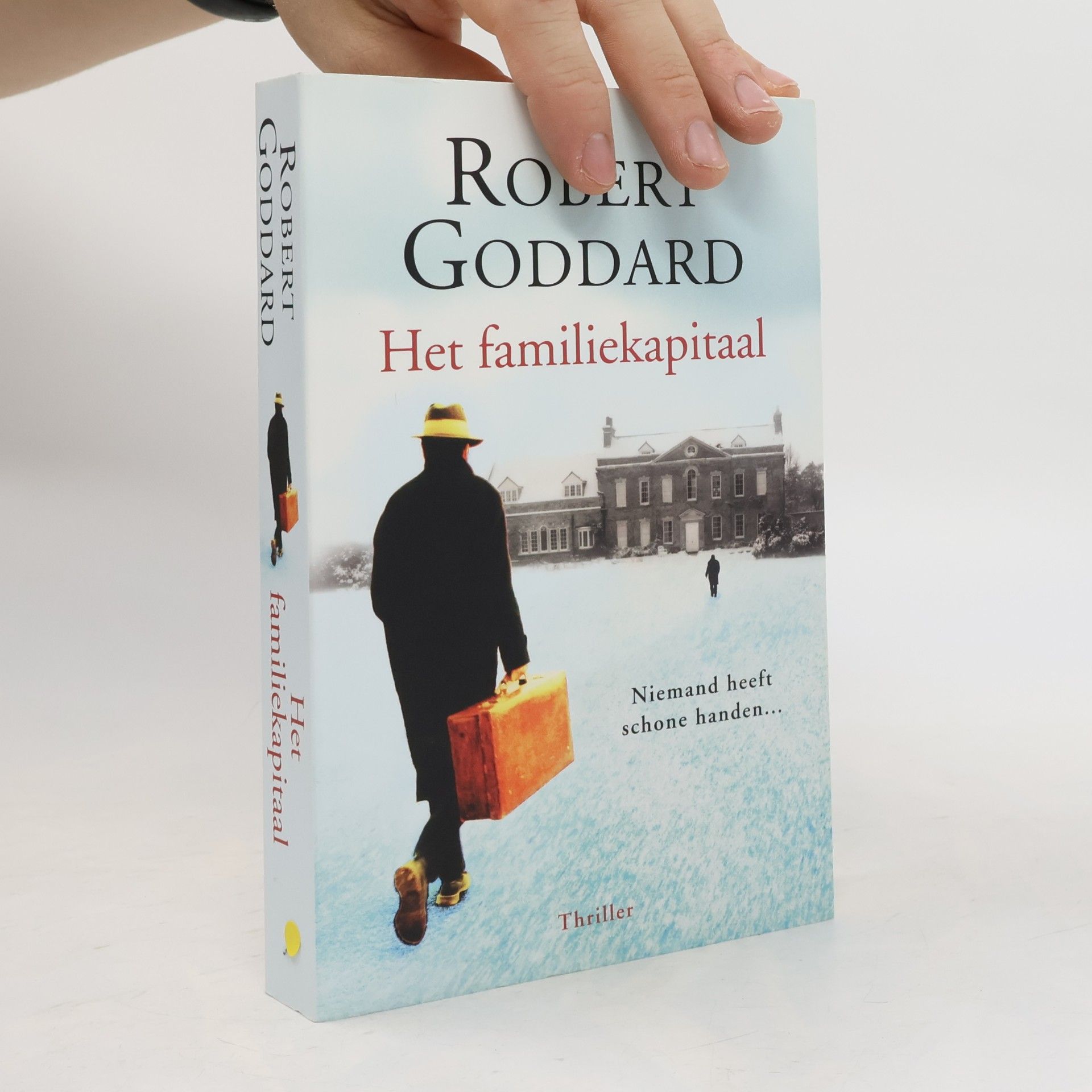 Robert Goddard Het familiekapitaal