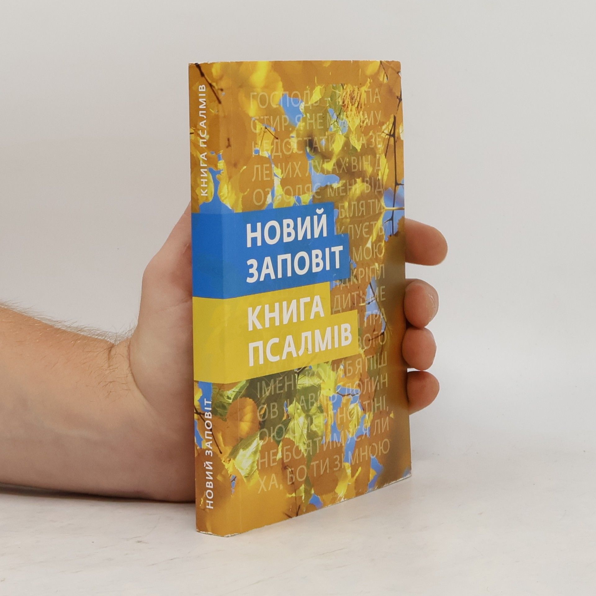 Autorenkollektiv Новий заповіт. Книга псалмів (Novyy zapovit. Knyha psalmiv)
