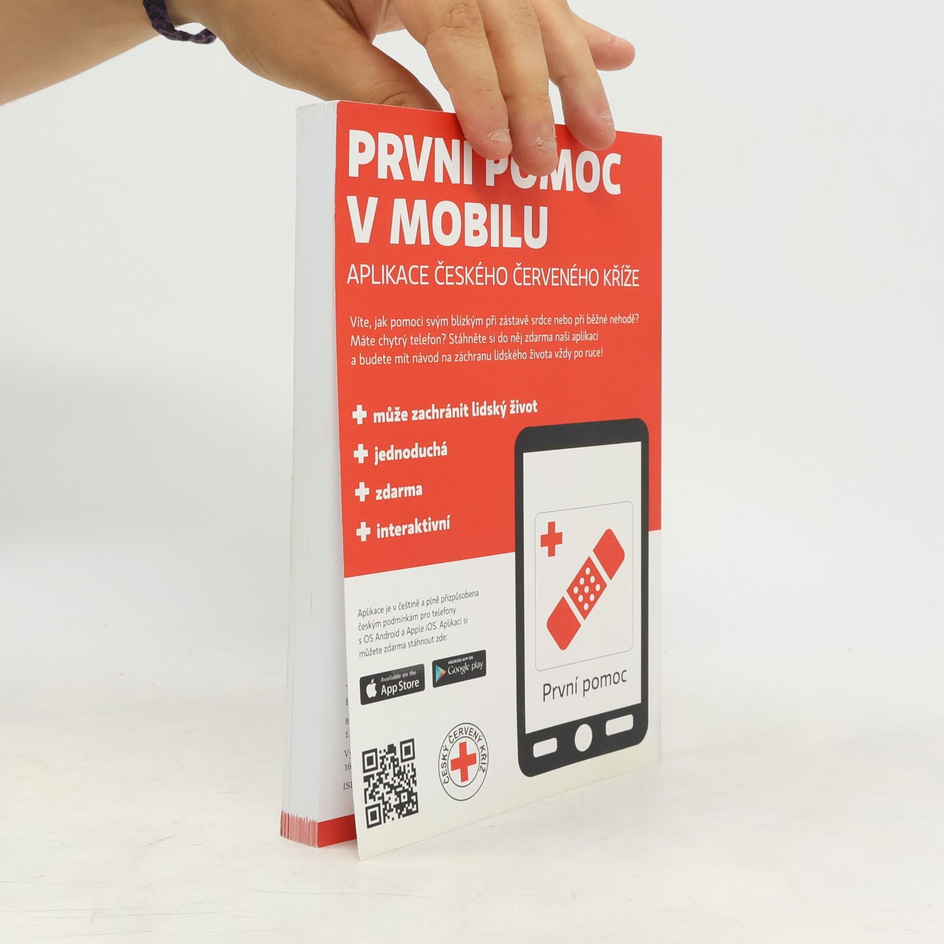 Kolektiv autorů Zdravotník zotavovacích akcí