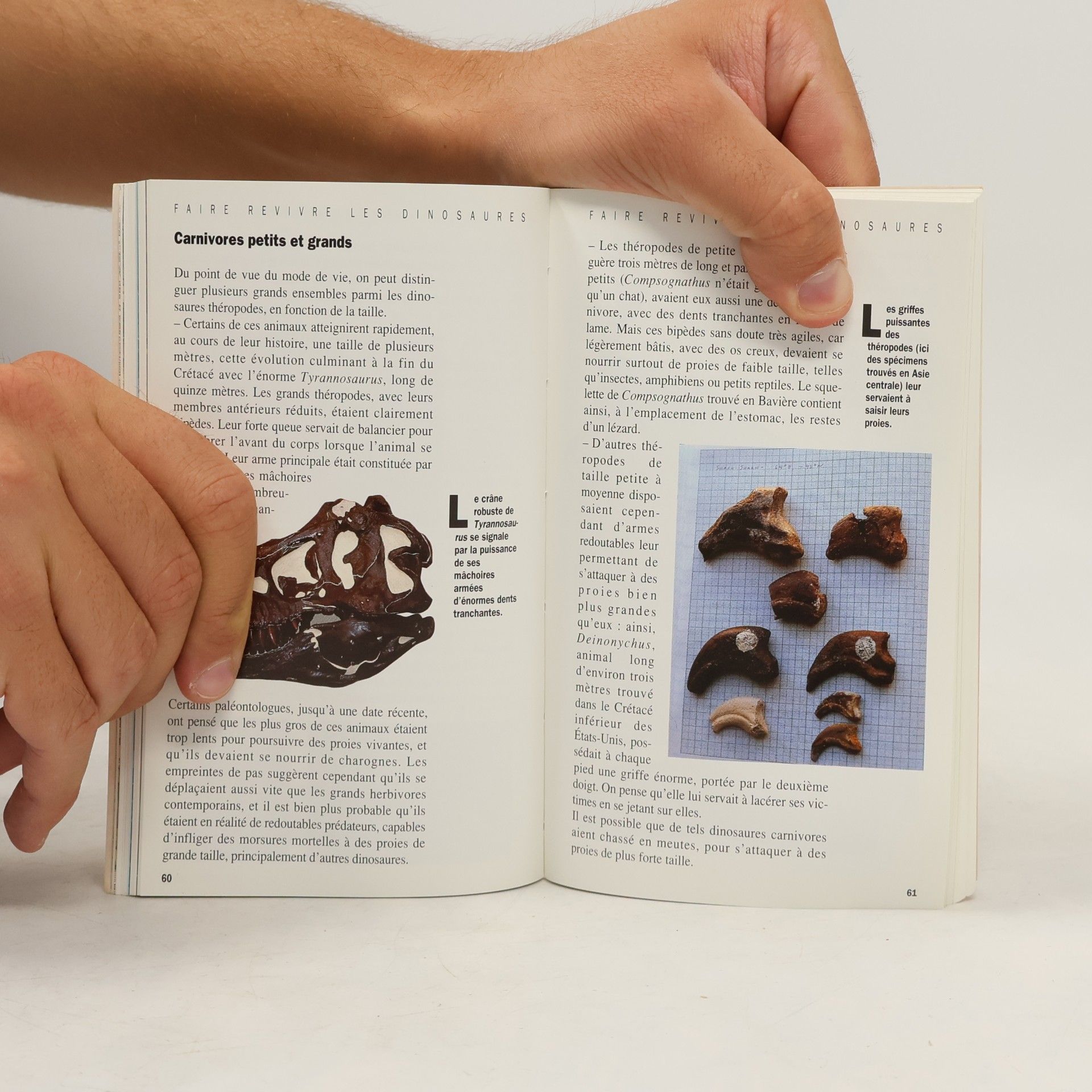 Eric Buffetaut Dans les traces de dinosaures