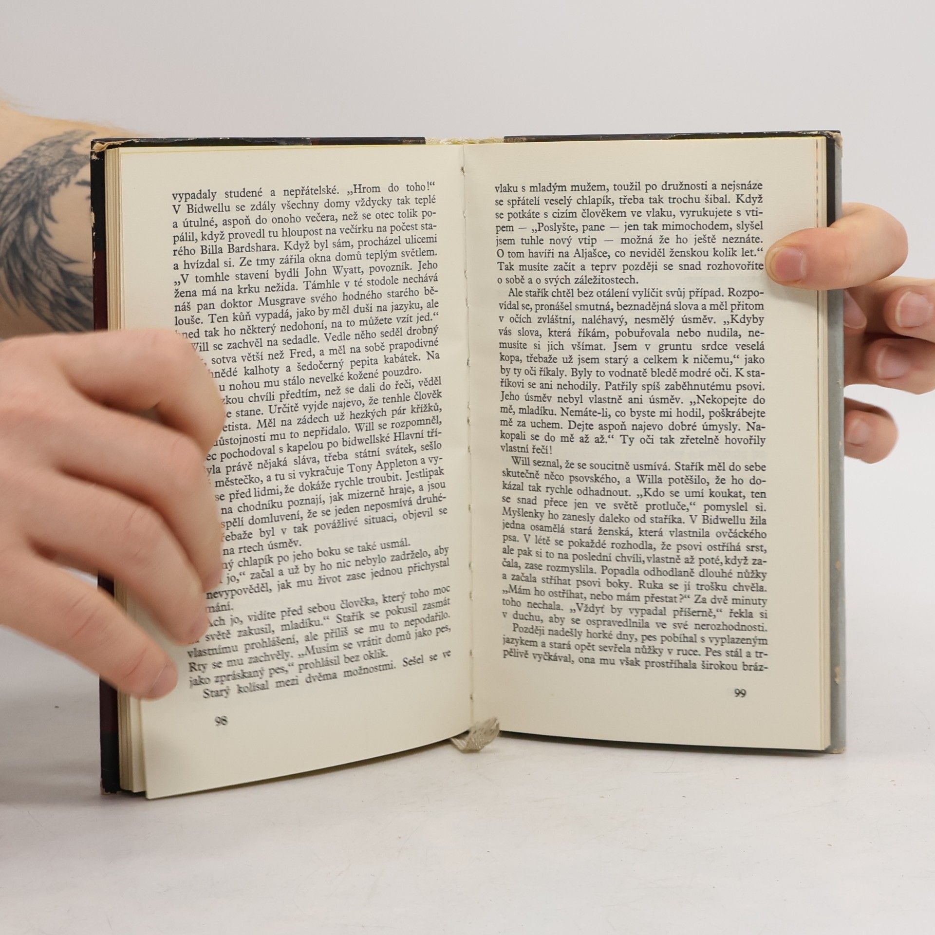 Sherwood Anderson Smrt v lese