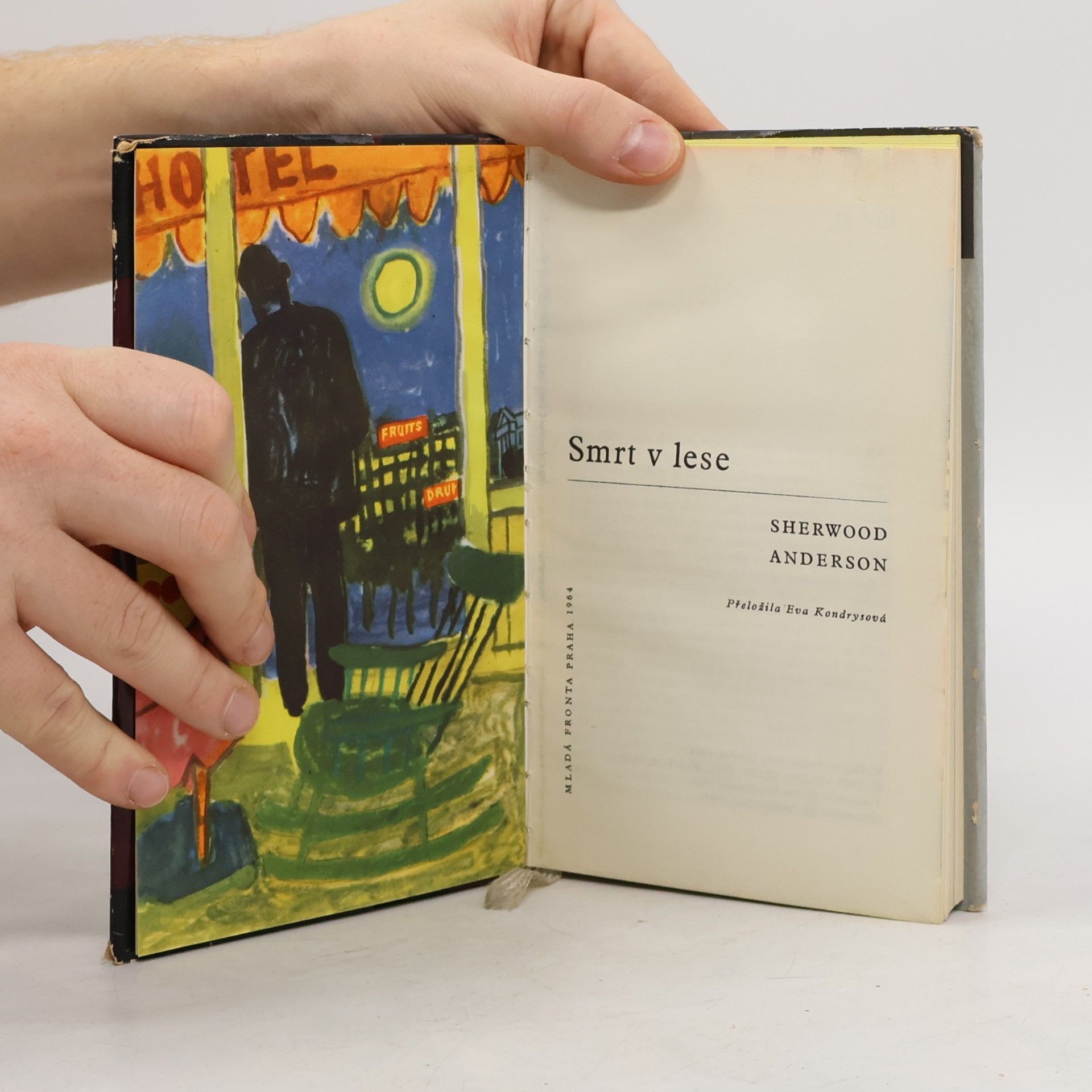 Sherwood Anderson Smrt v lese