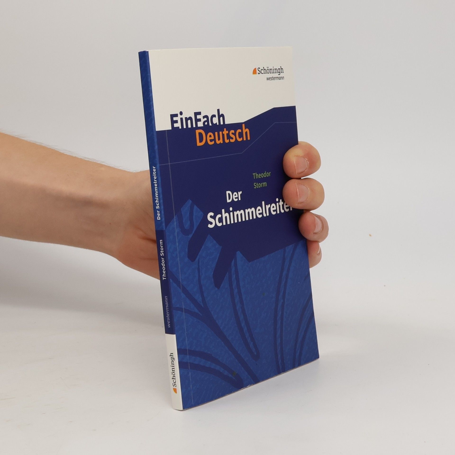 Theodor Storm Der Schimmelreiter