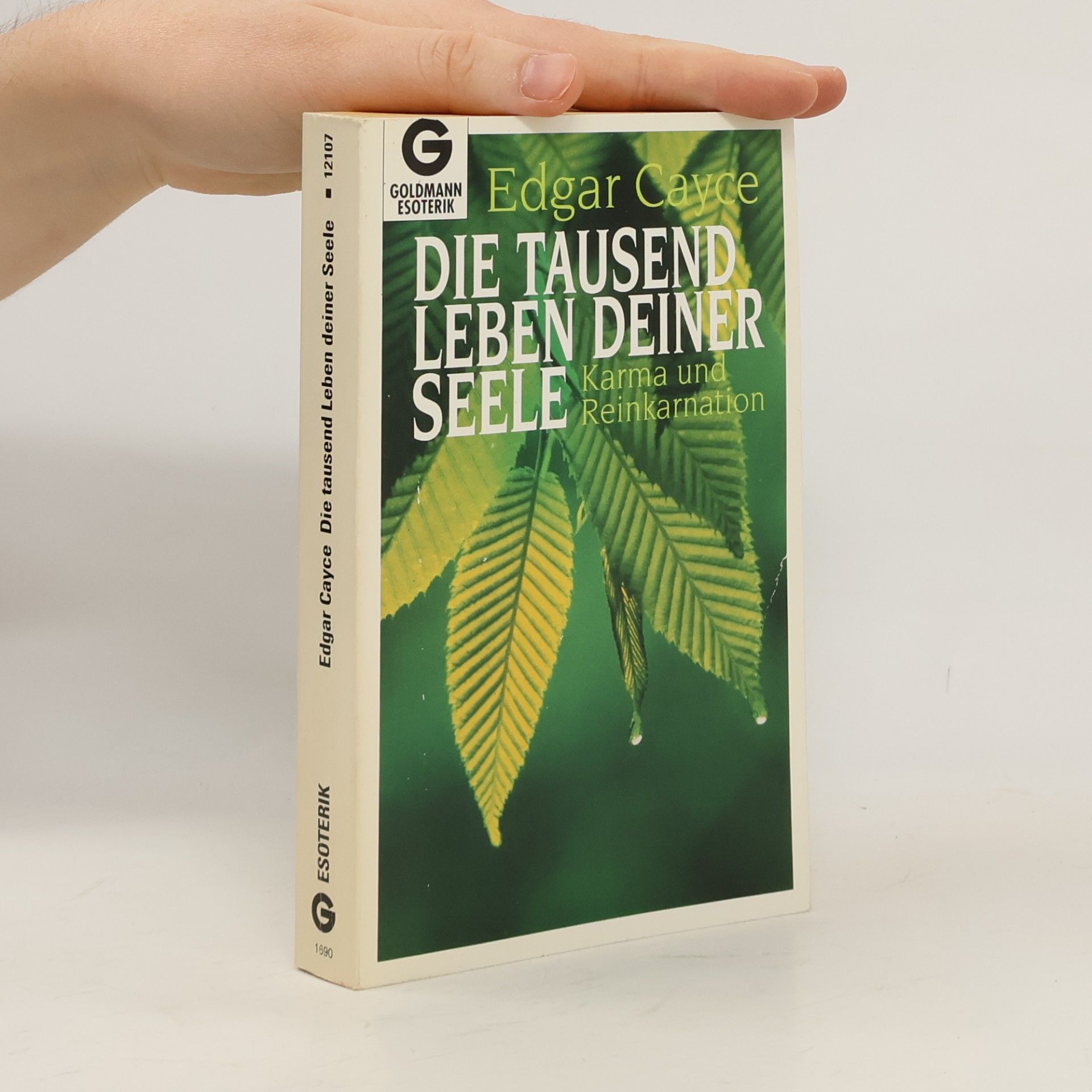Edgar Cayce Die tausend Leben deiner Seele. Karma und Reinkarnation.