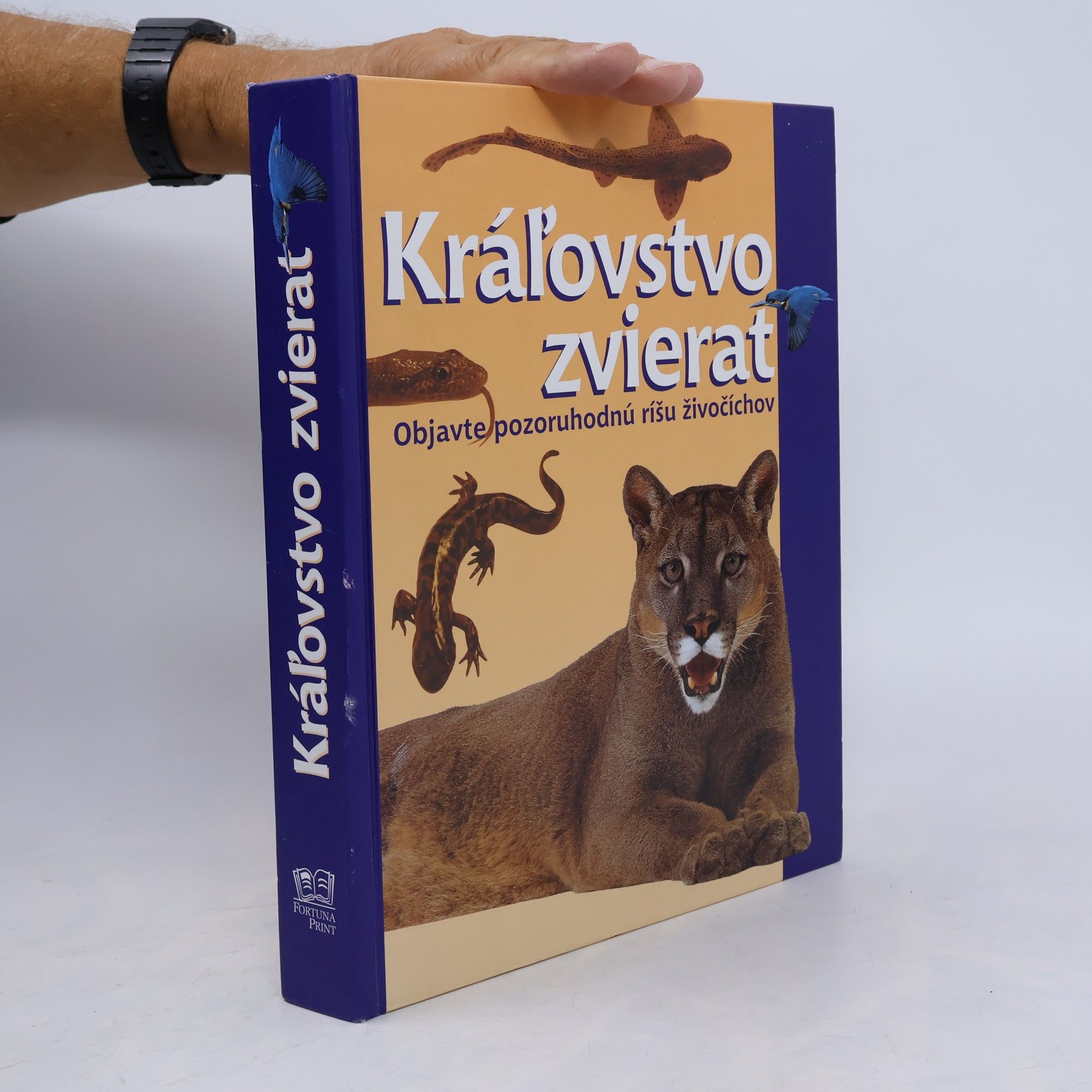 Kráľovstvo zvierat