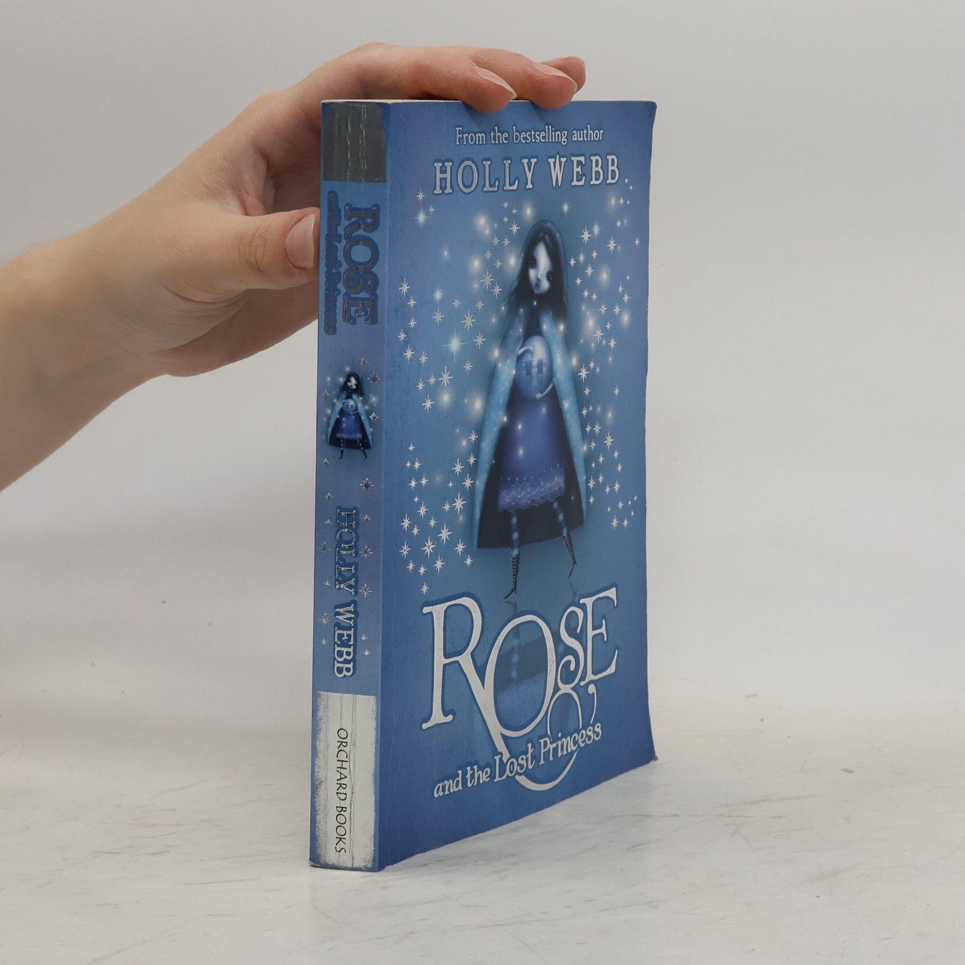 Rose and the Lost Princess