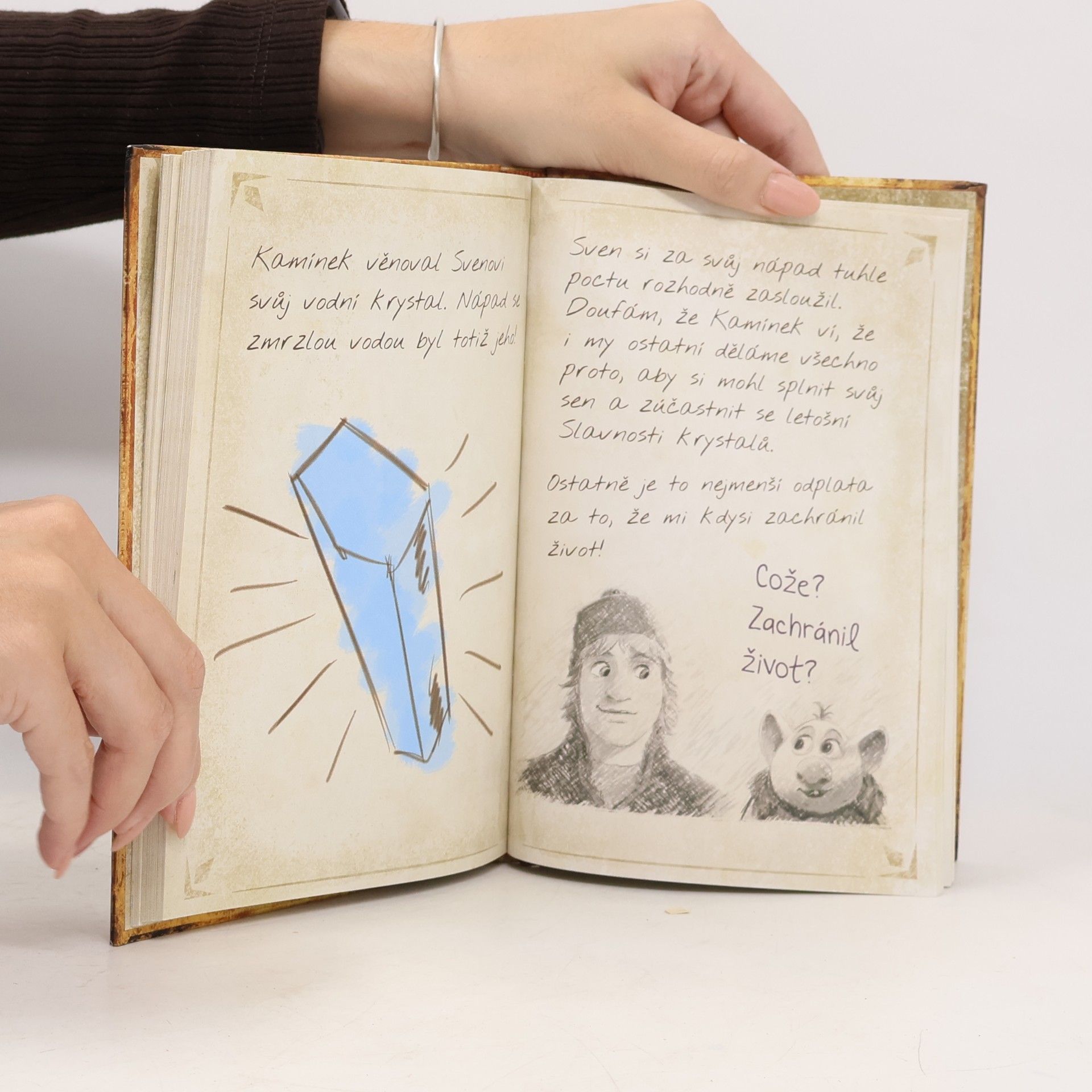 Various authors Ledové království Polární záře Cestovní deník