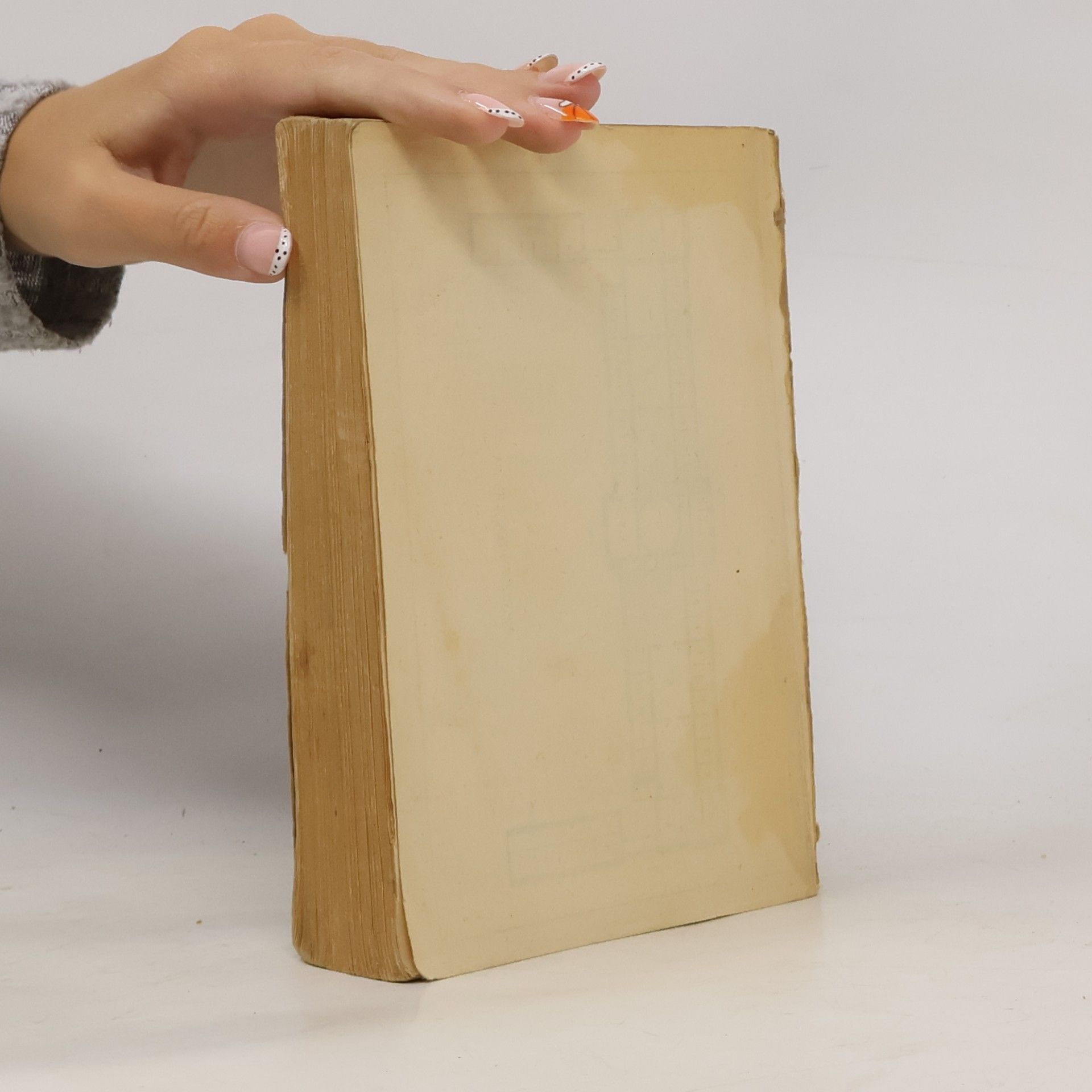 Autorenkollektiv Katalog der Königlichen Gemäldegalerie zu Dresden