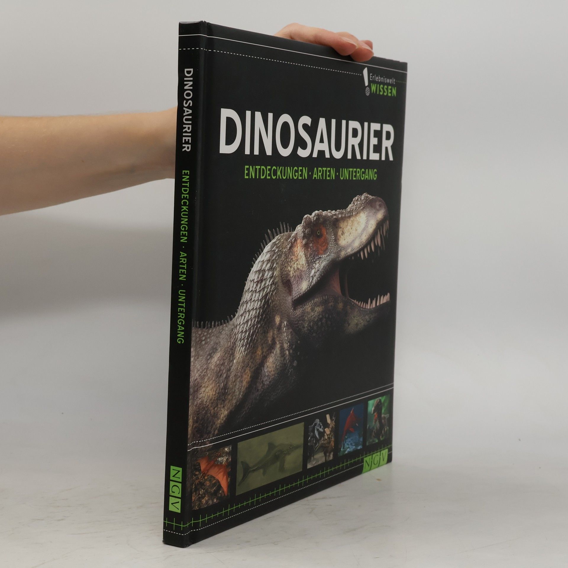 Kolektív autorov Dinosaurier
