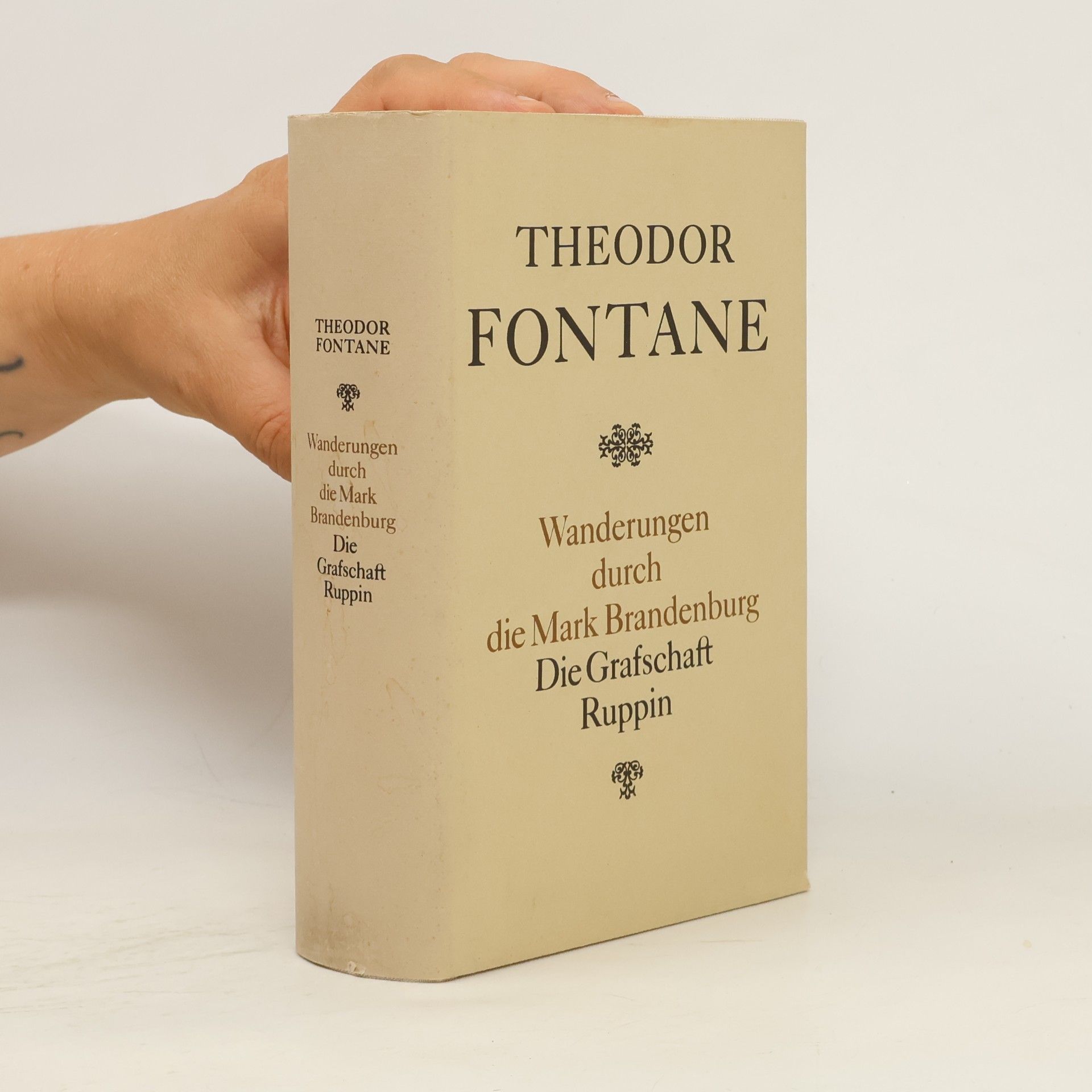 Theodor Fontane Wanderungen durch die Mark Brandenburg: Die Grafschaft Ruppin