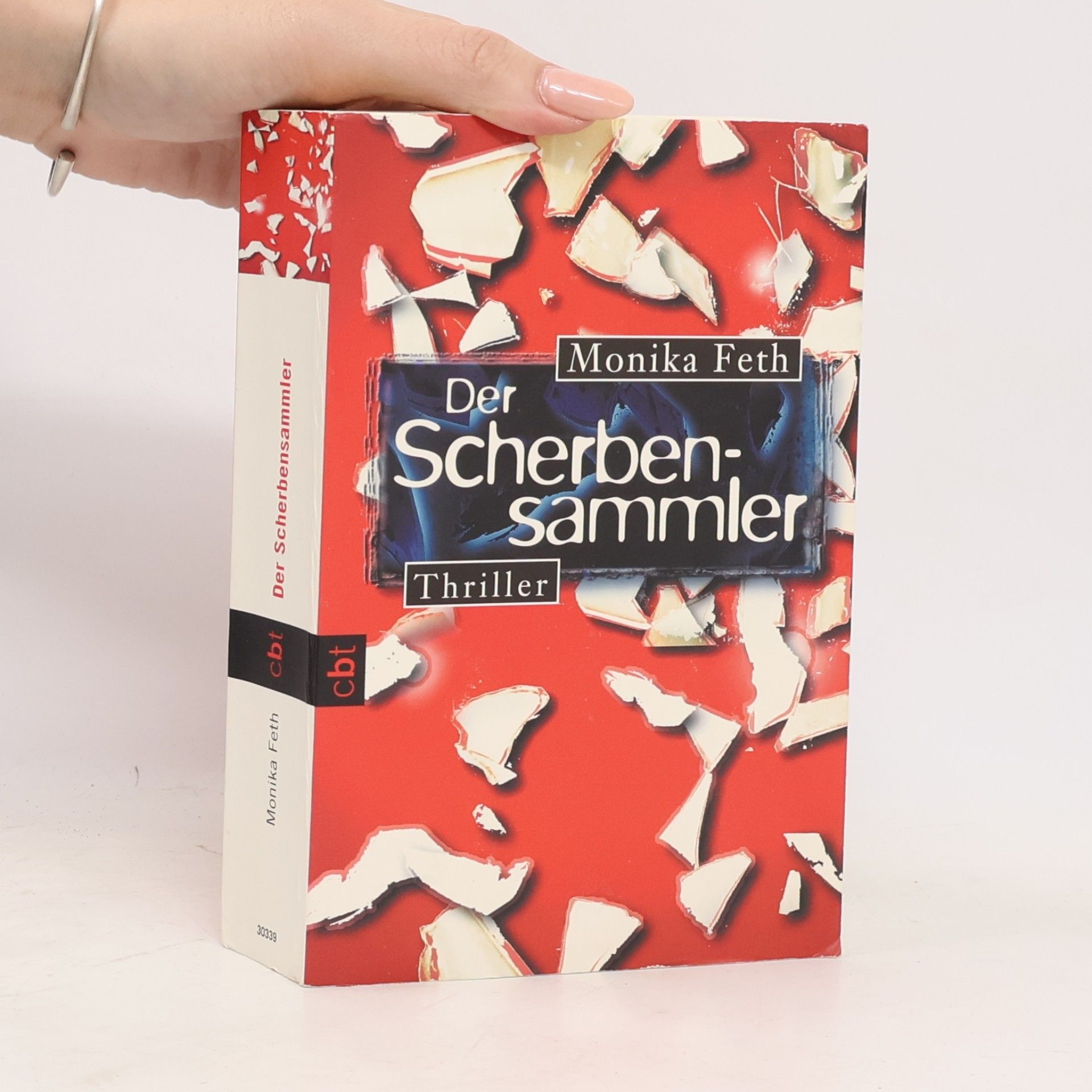 Monika Feth Der Scherbensammler