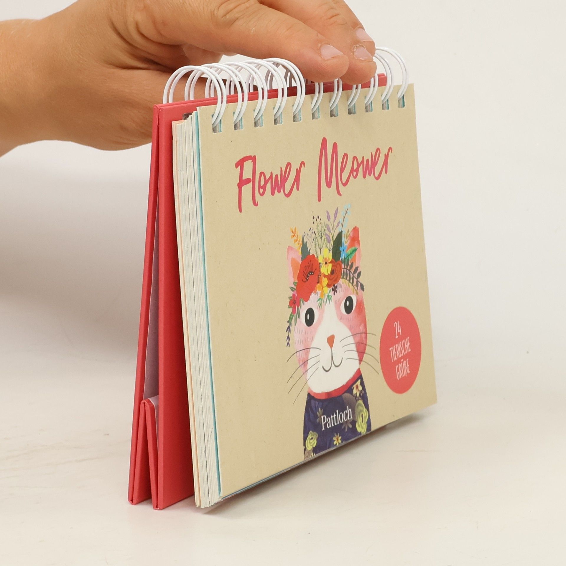 kolektiv Flower Meower