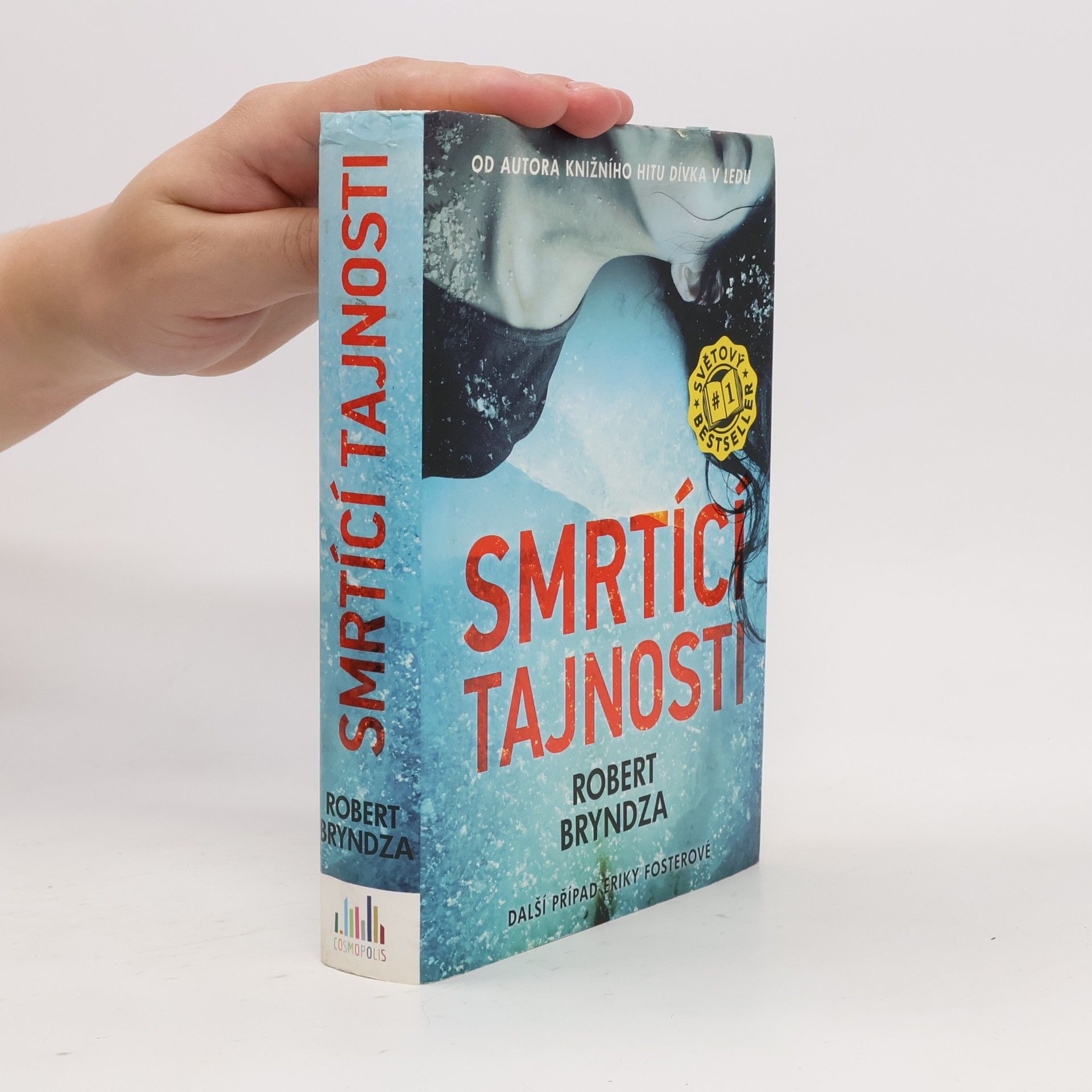 Robert Bryndza Smrtící tajnosti
