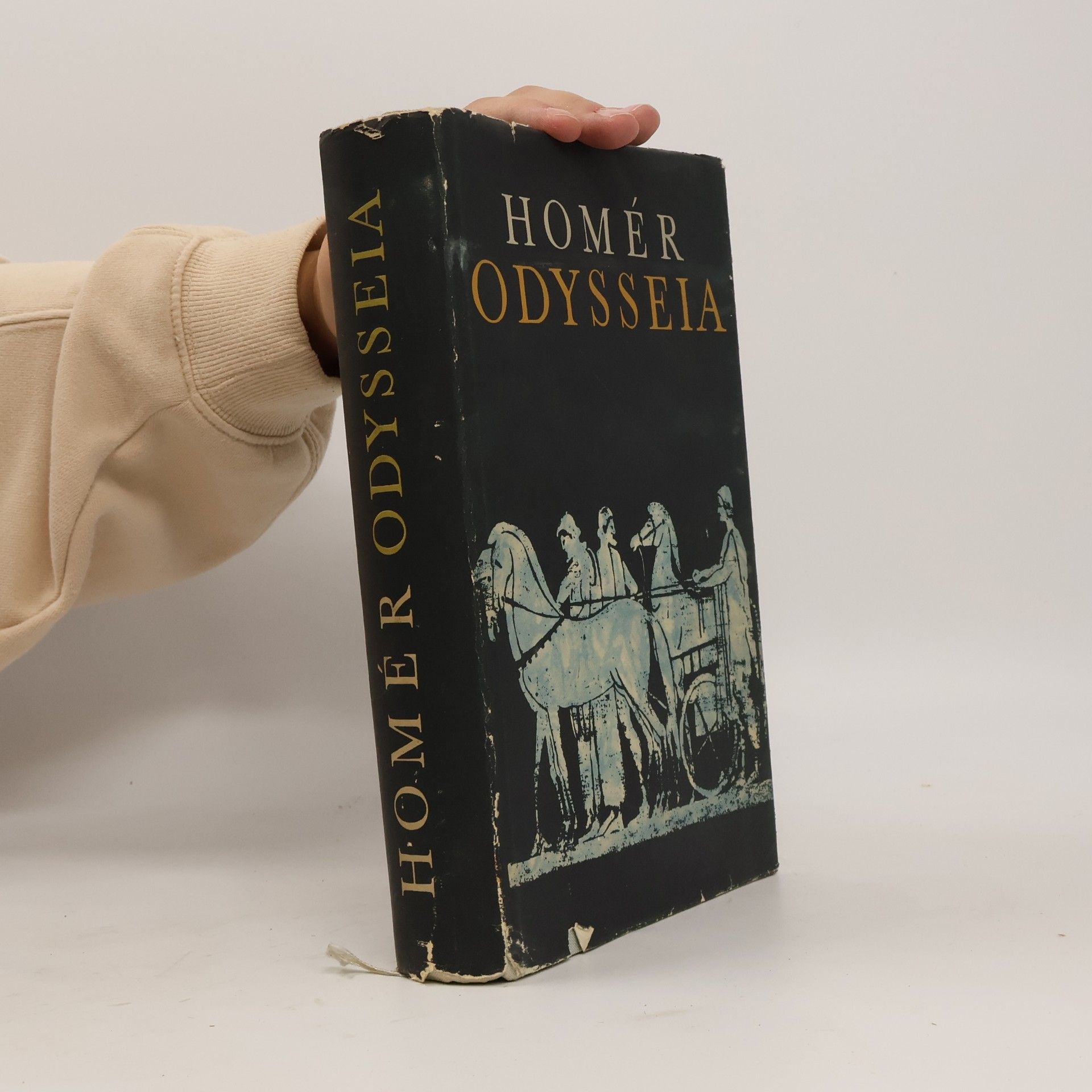 Homér Odysseia