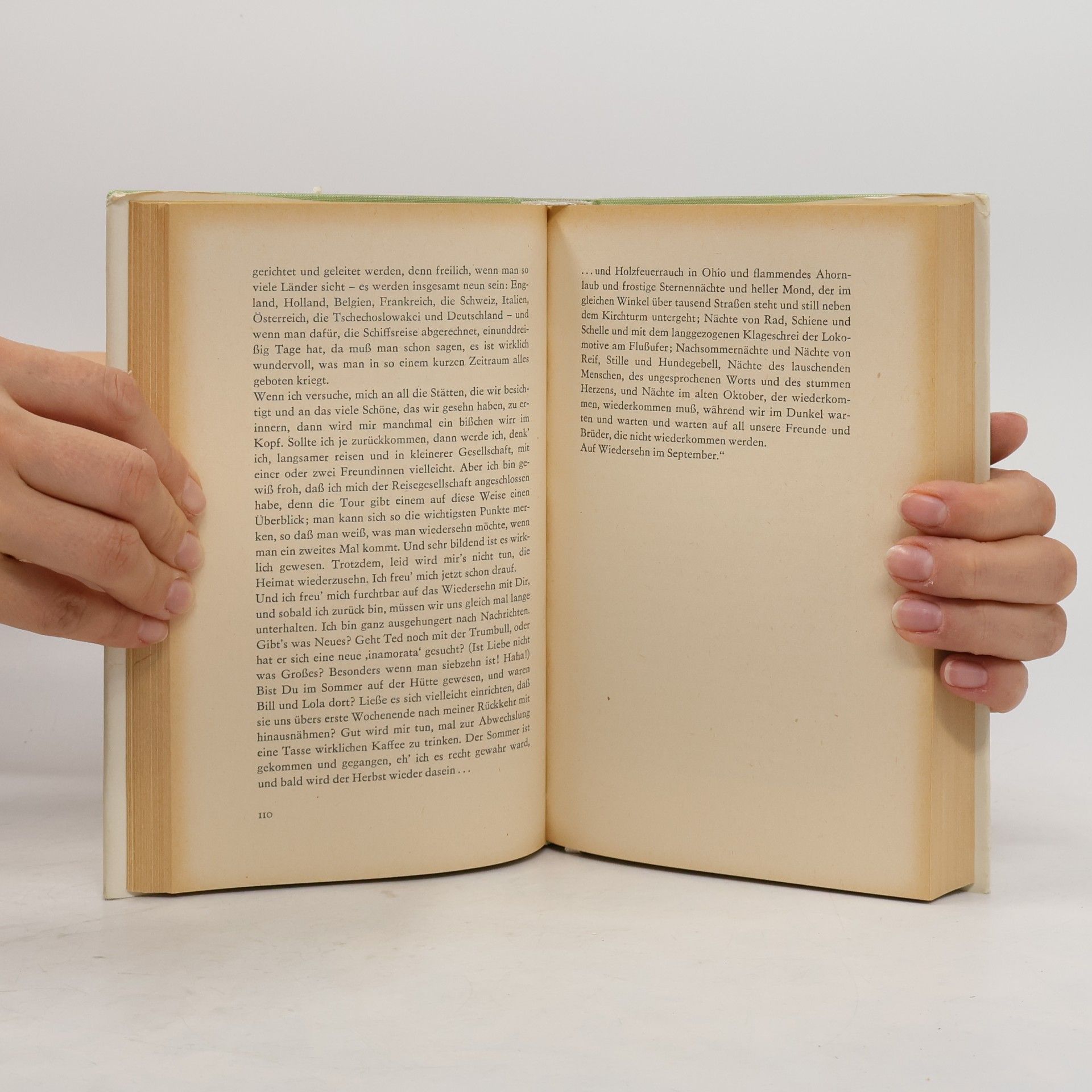 Thomas Wolfe Der zerstörte Tag