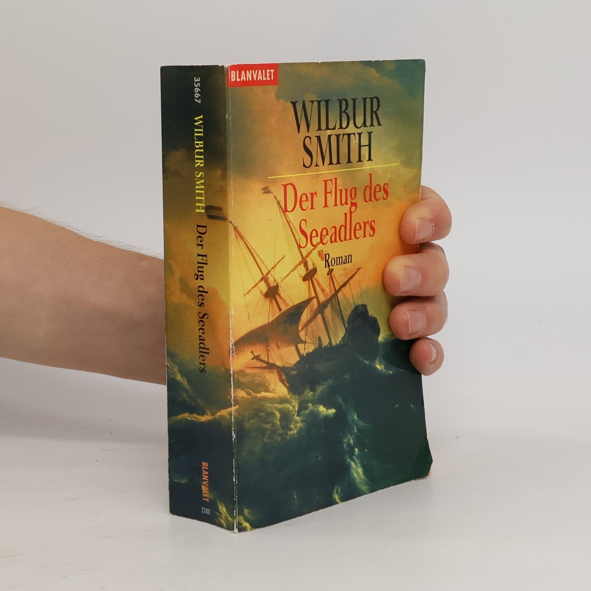 Wilbur Smith Der Flug des Seeadlers
