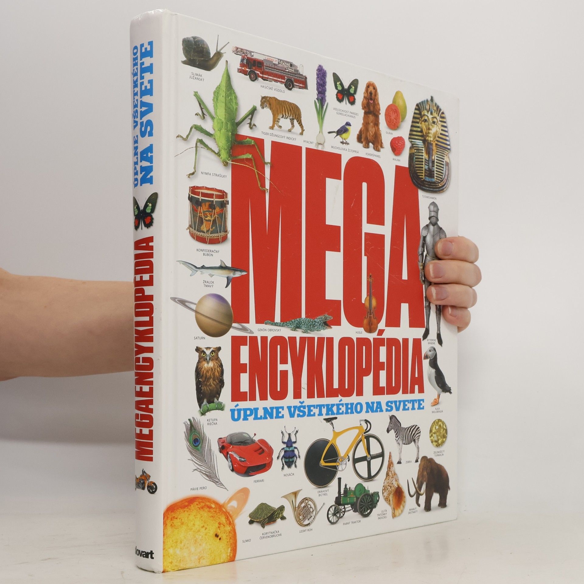 AA.VV. Megaencyklopédia úplne všetkého na svete