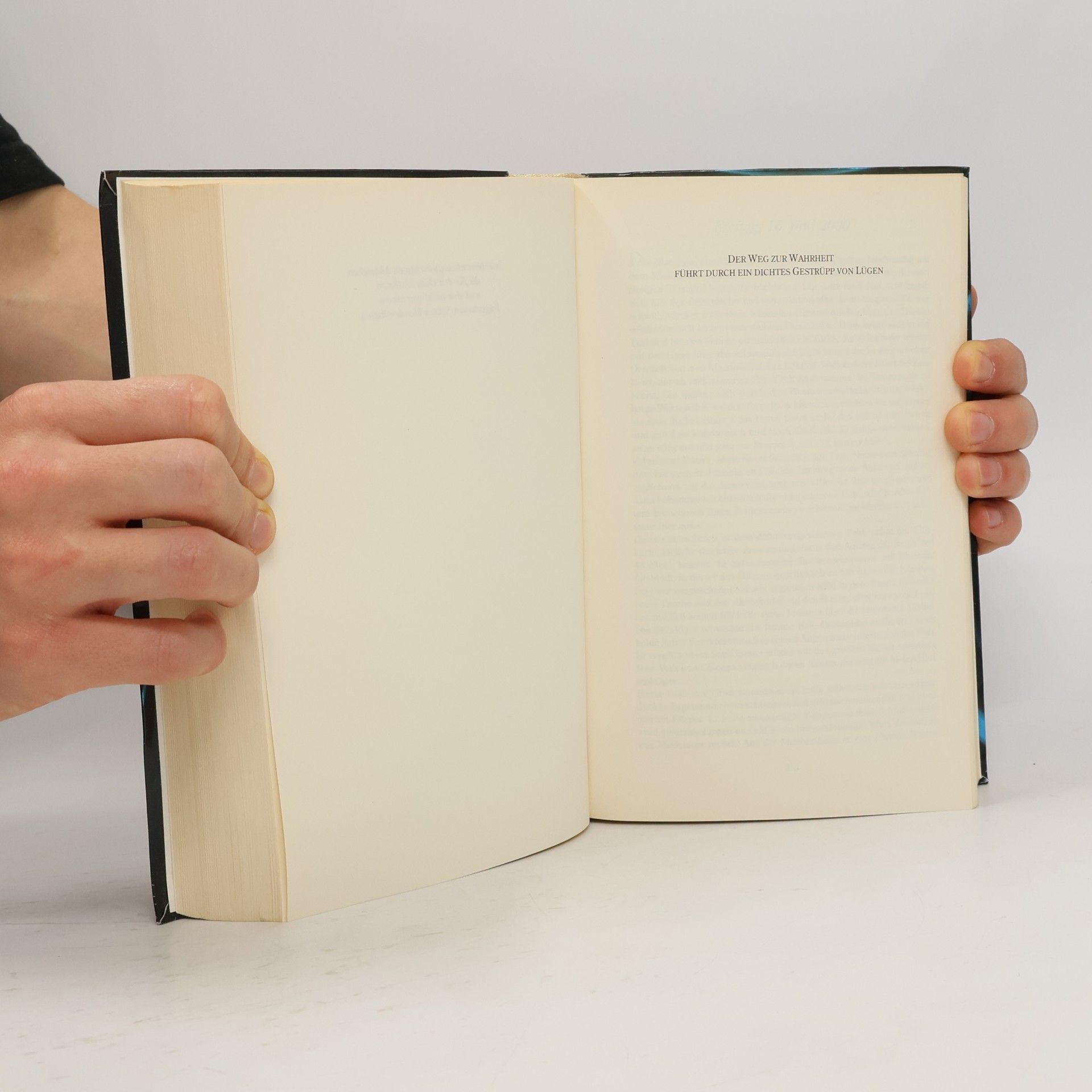Andreas Franz Das Verlies. Das Syndikat der Spinne